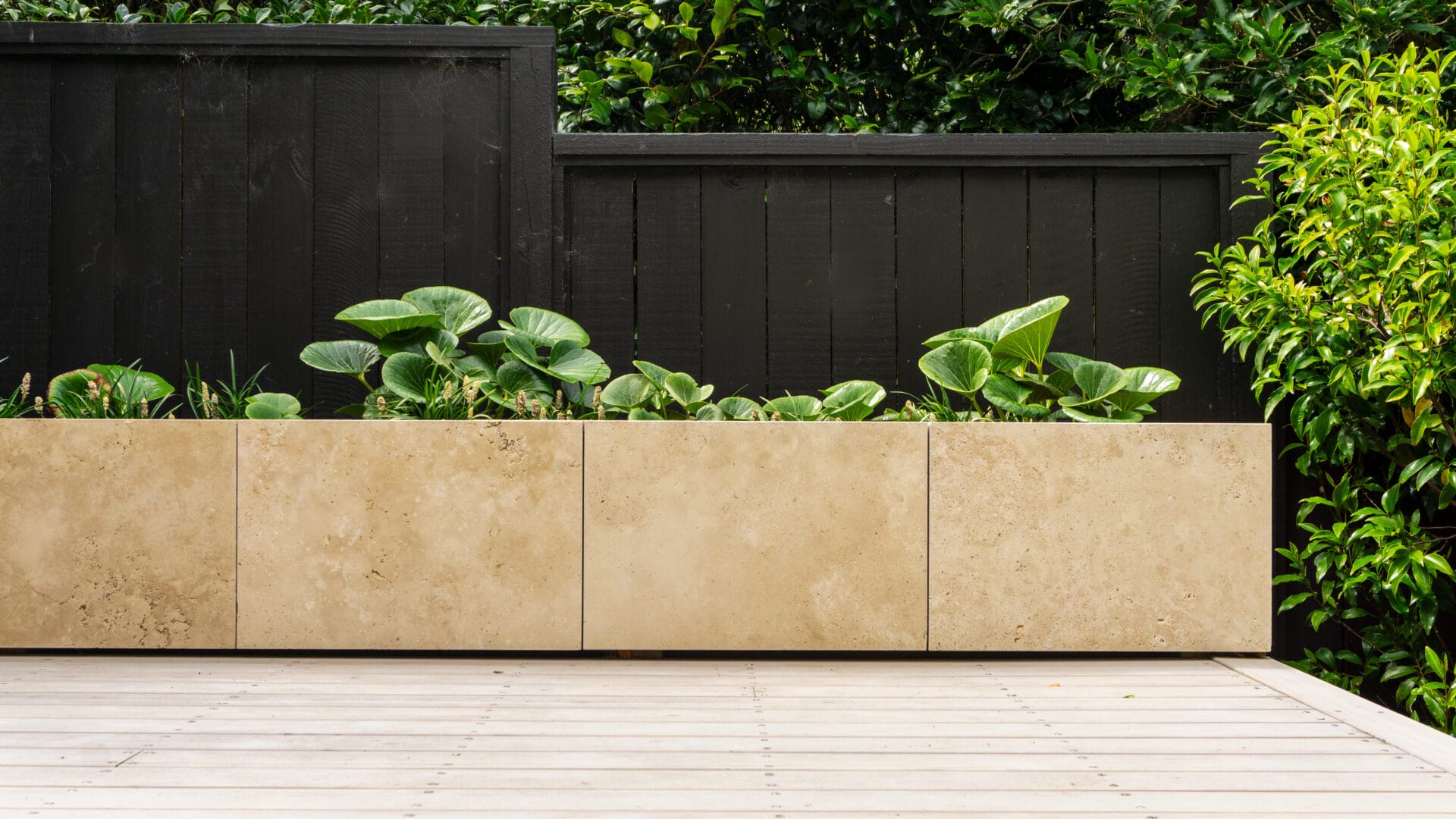 Homescapes Landscape Design Homescapes Landscape Design