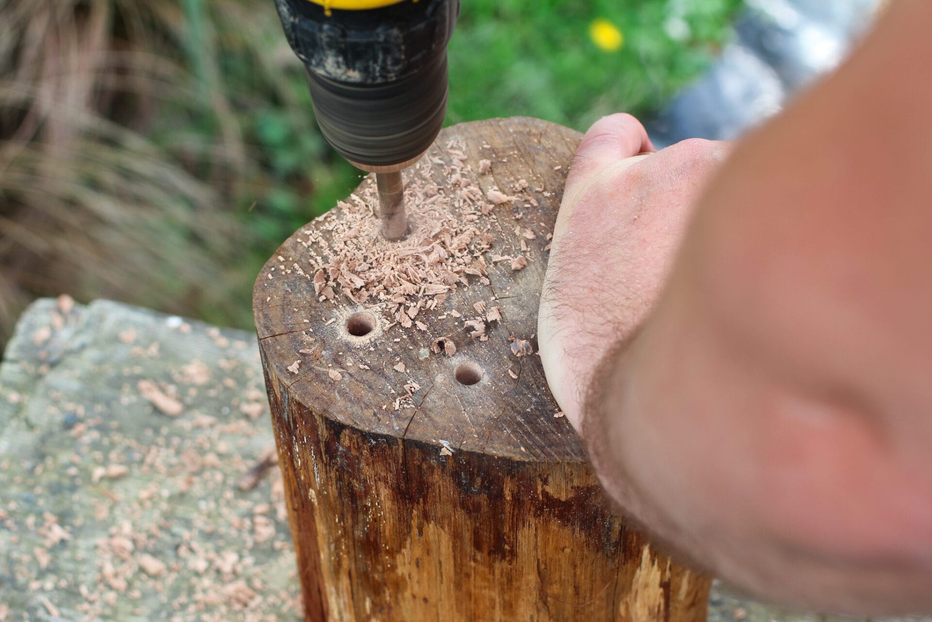 Bug Hotel - drilling holes How to make a bug hotel