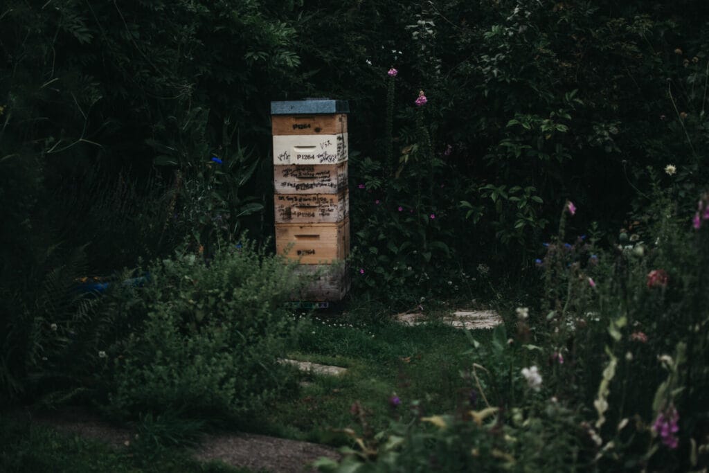 Pollination garden