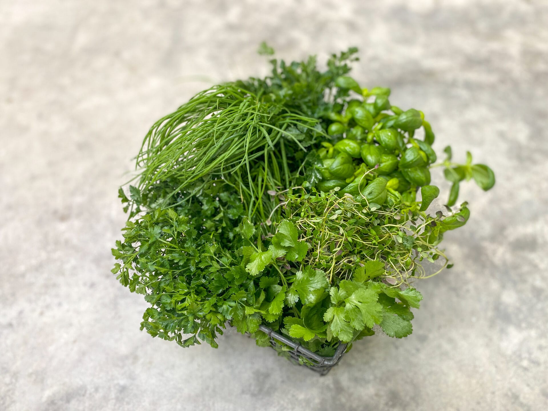Gibson and Green