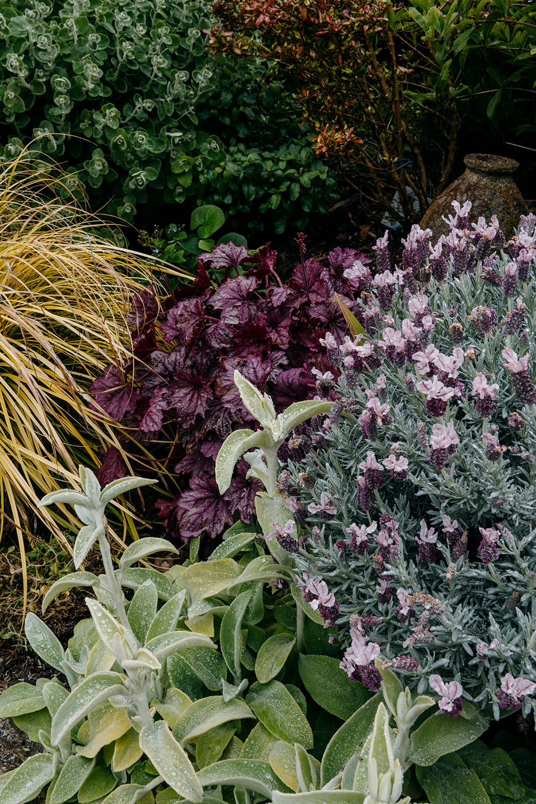 Sage Journal - Tarras