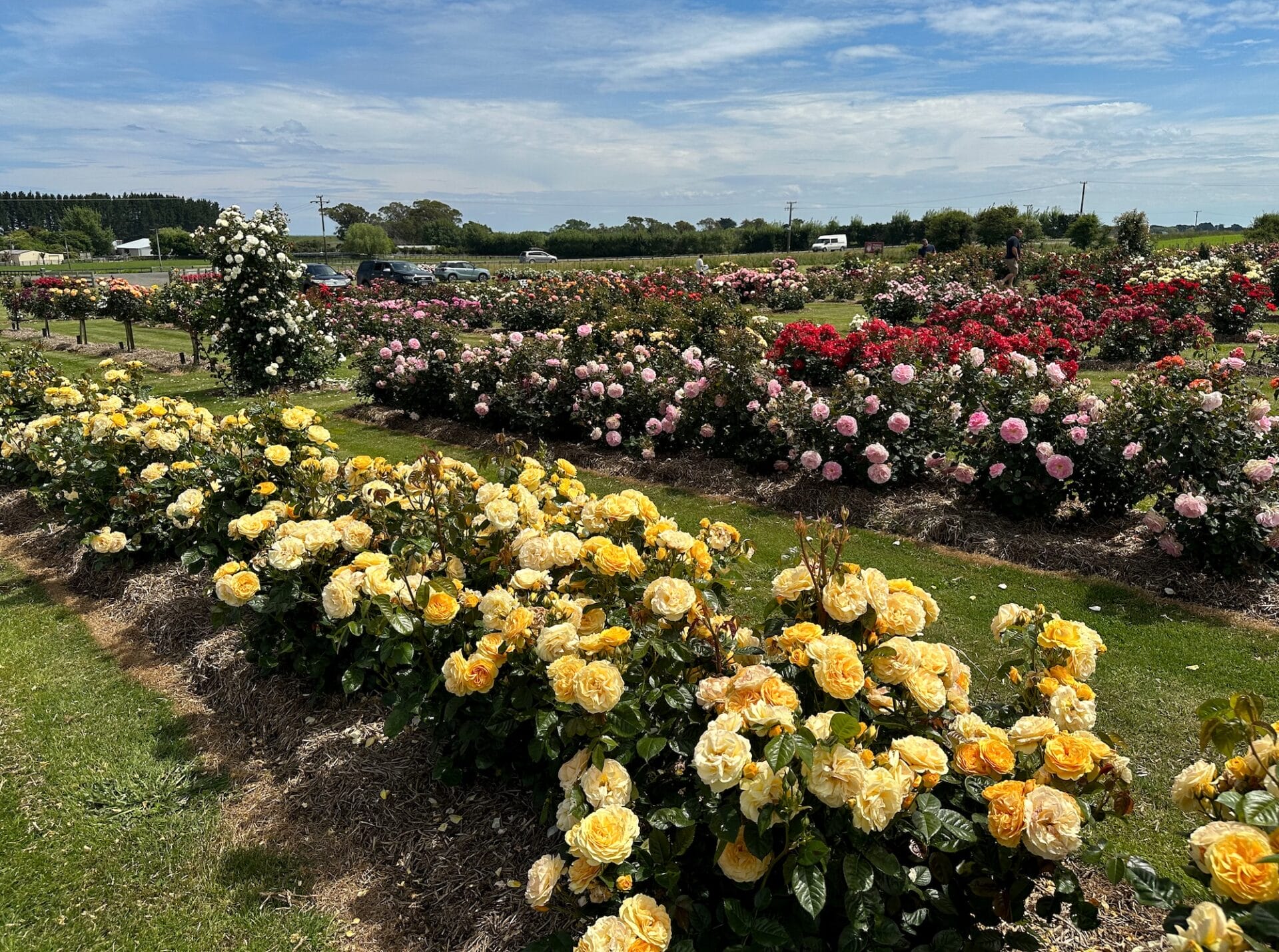 Matthew’s Nurseries Ltd