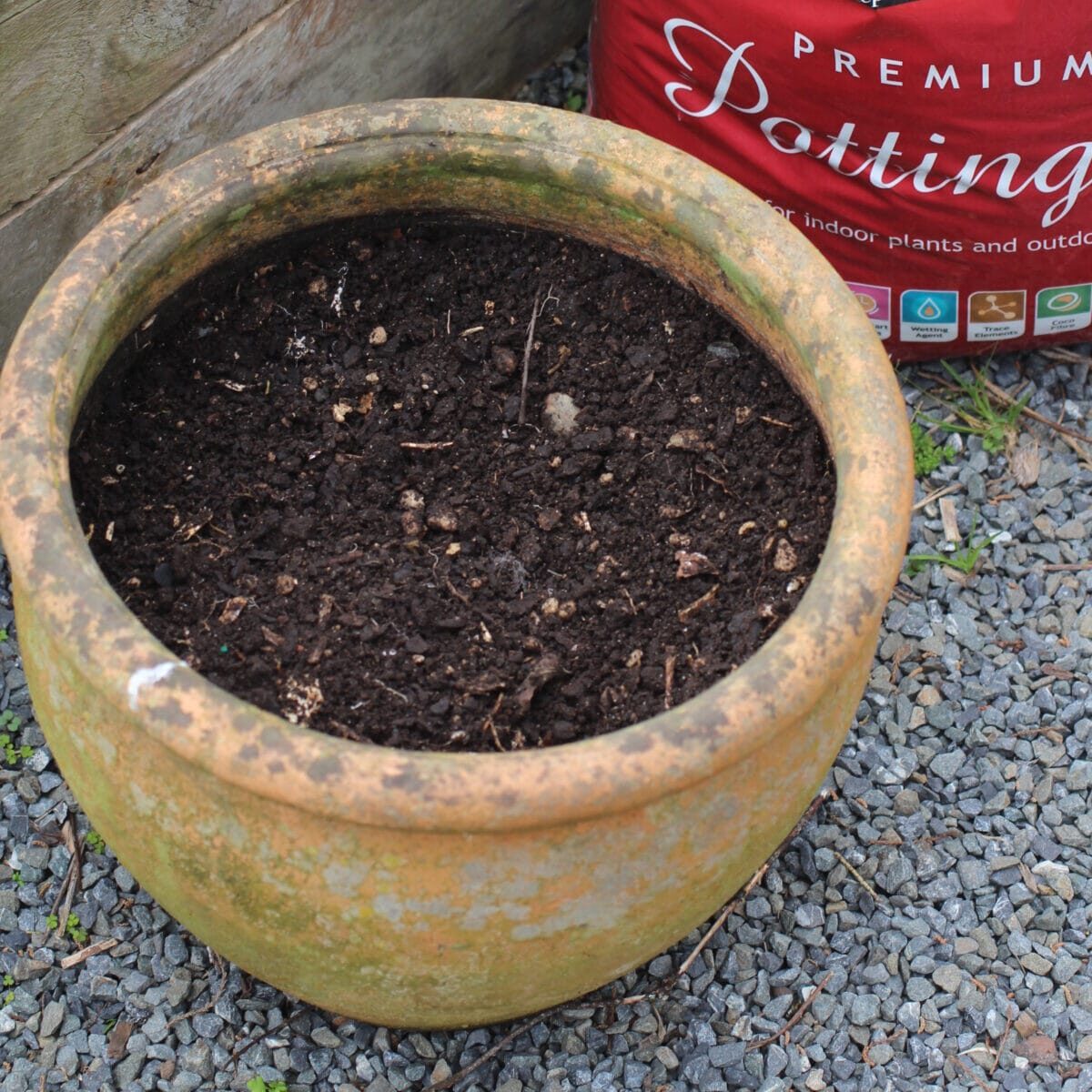 Using new potting mix