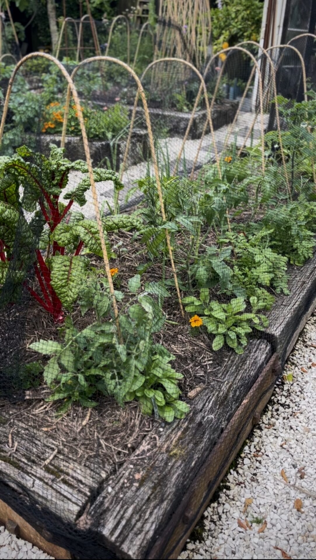 Phoebe Atkinson spring garden