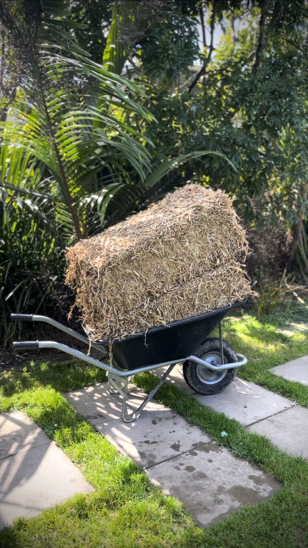 Phoebe Atkinson spring garden