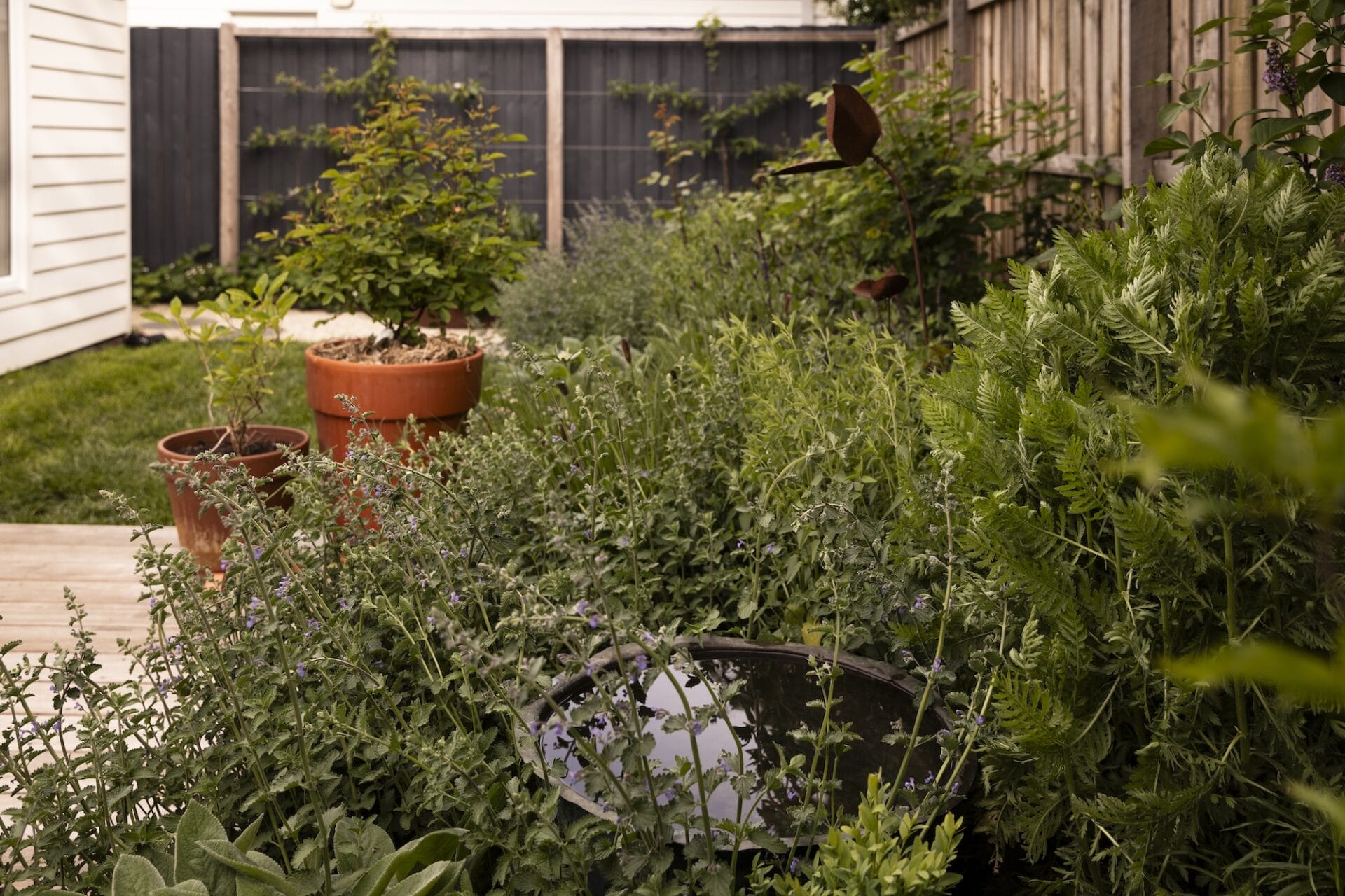 Copy of TPGardens_Woodend__Gemmola-19