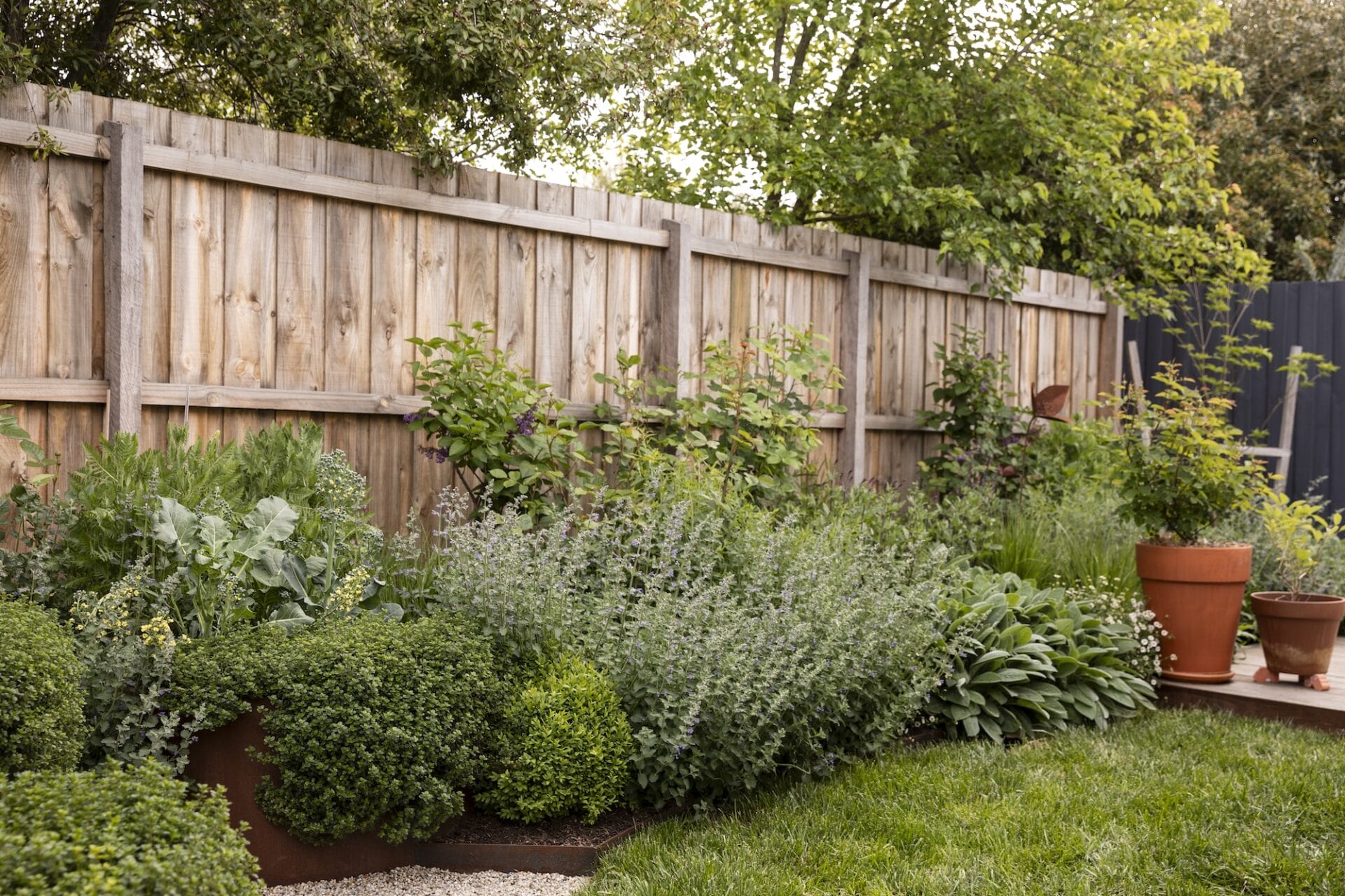 Copy of TPGardens_Woodend__Gemmola-9
