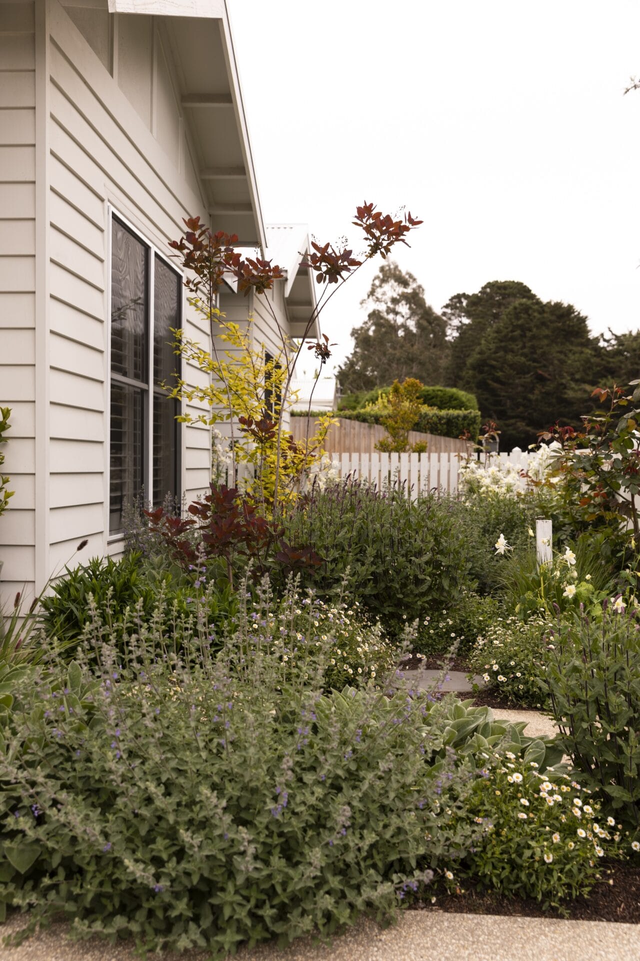 Copy of TPGardens_Woodend__Gemmola-91