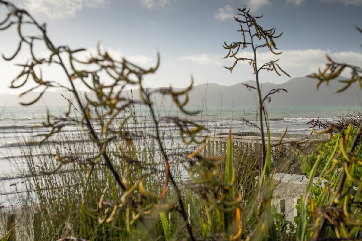 Mark Newdick - Raumati Beach Mark Newdick - Raumati Beach