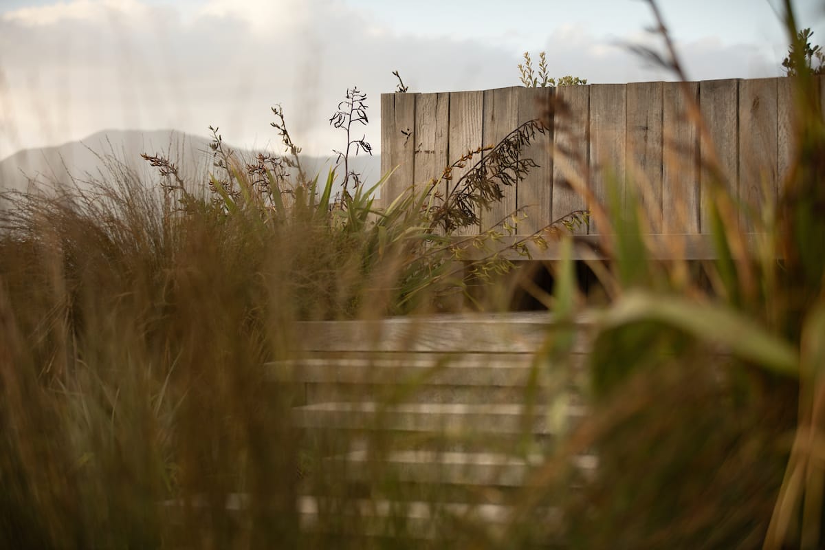 Mark Newdick - Raumati Beach Mark Newdick - Raumati Beach