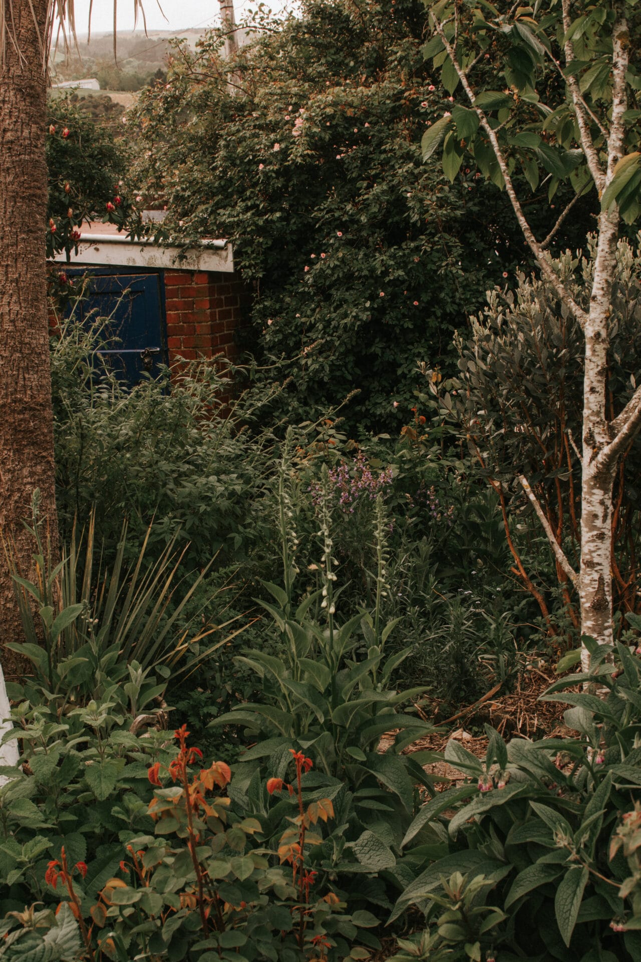 Sage Journal X Boring Oat Milk X Mel Adams Watering essentials for spring & summer