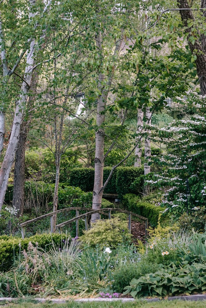 Gillian and Phil’s Garden