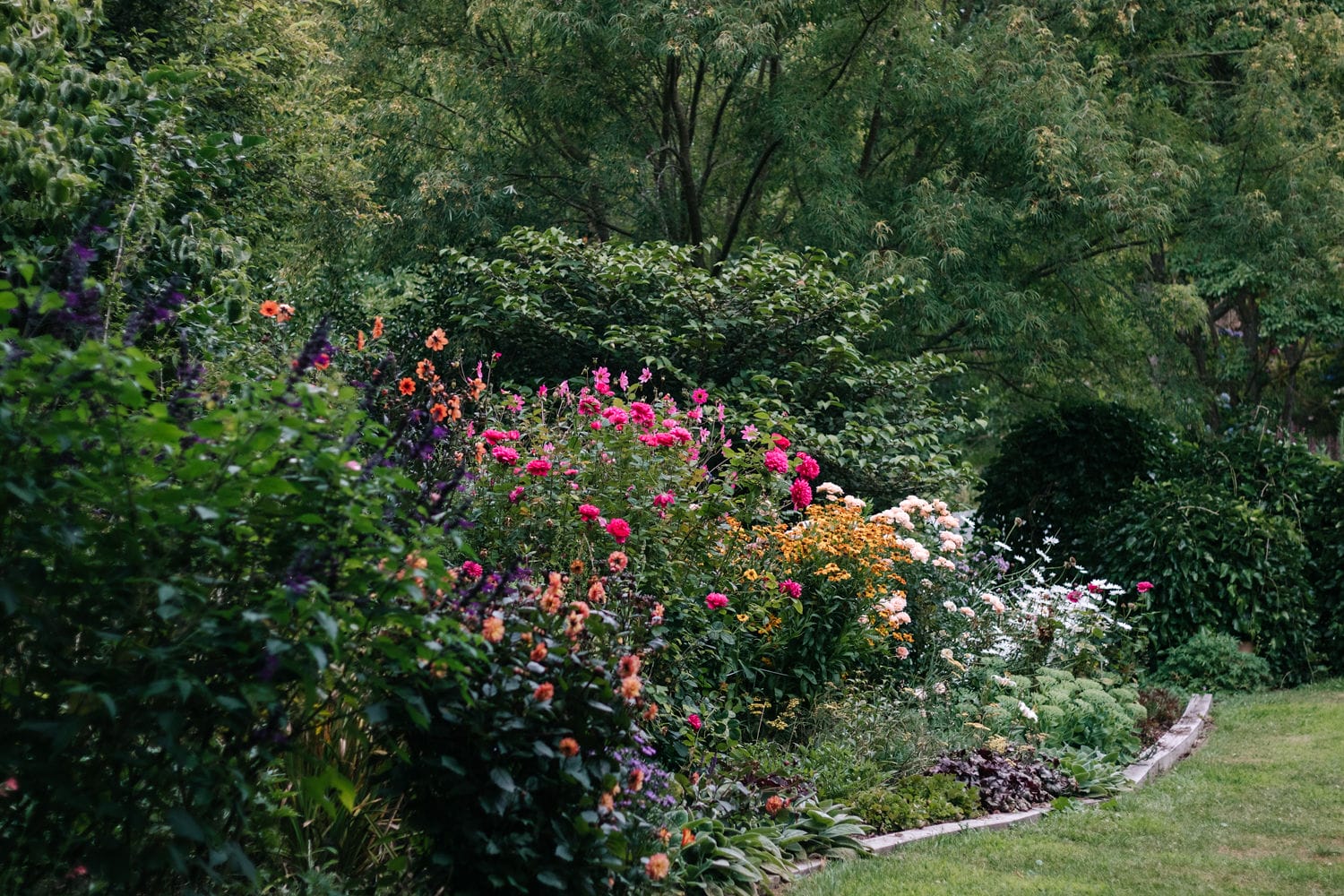 Gillian and Phil’s Garden