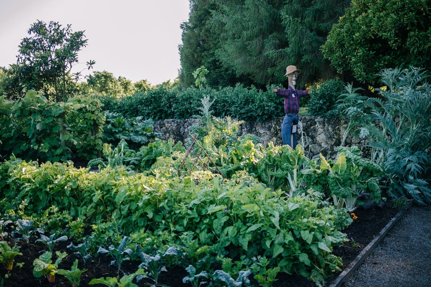 Photo by Pippa Marffy — from the Holly Trail