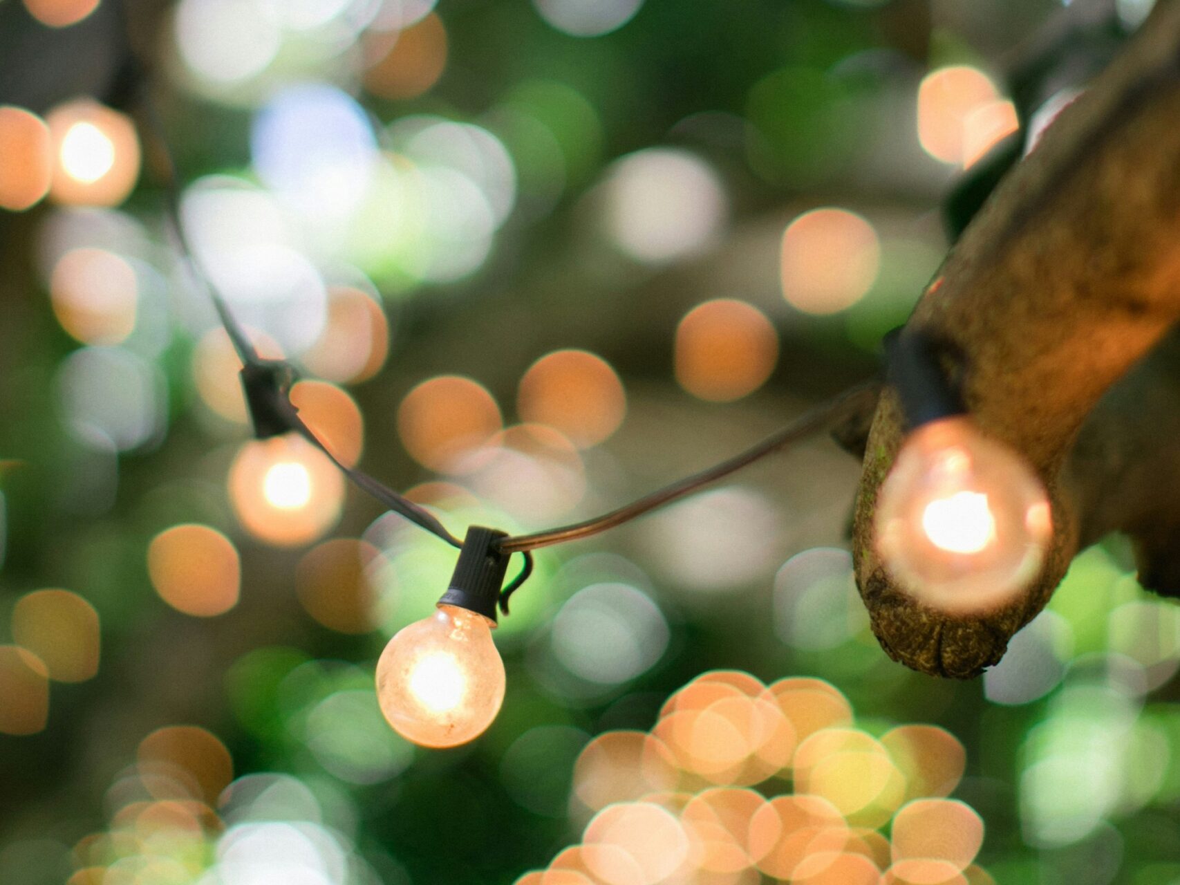 Outdoor garden lighting