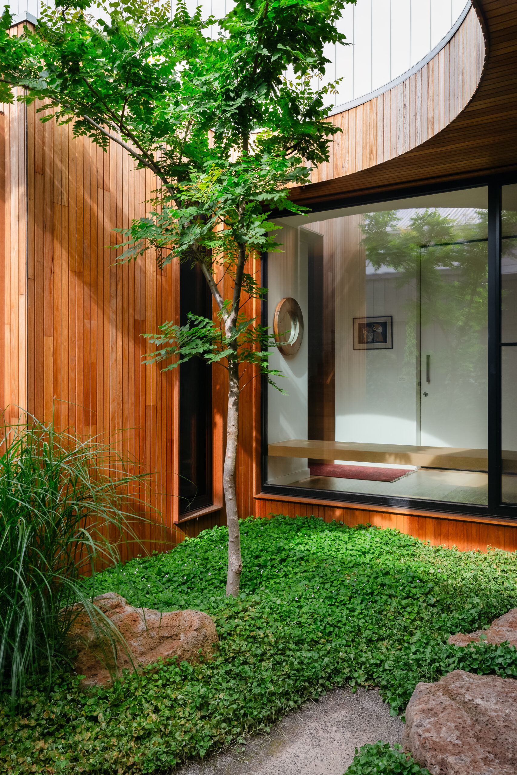 Andy Murray Landscape Design - Northcote 1 garden Andy Murray Landscape Design - Northcote 1 garden