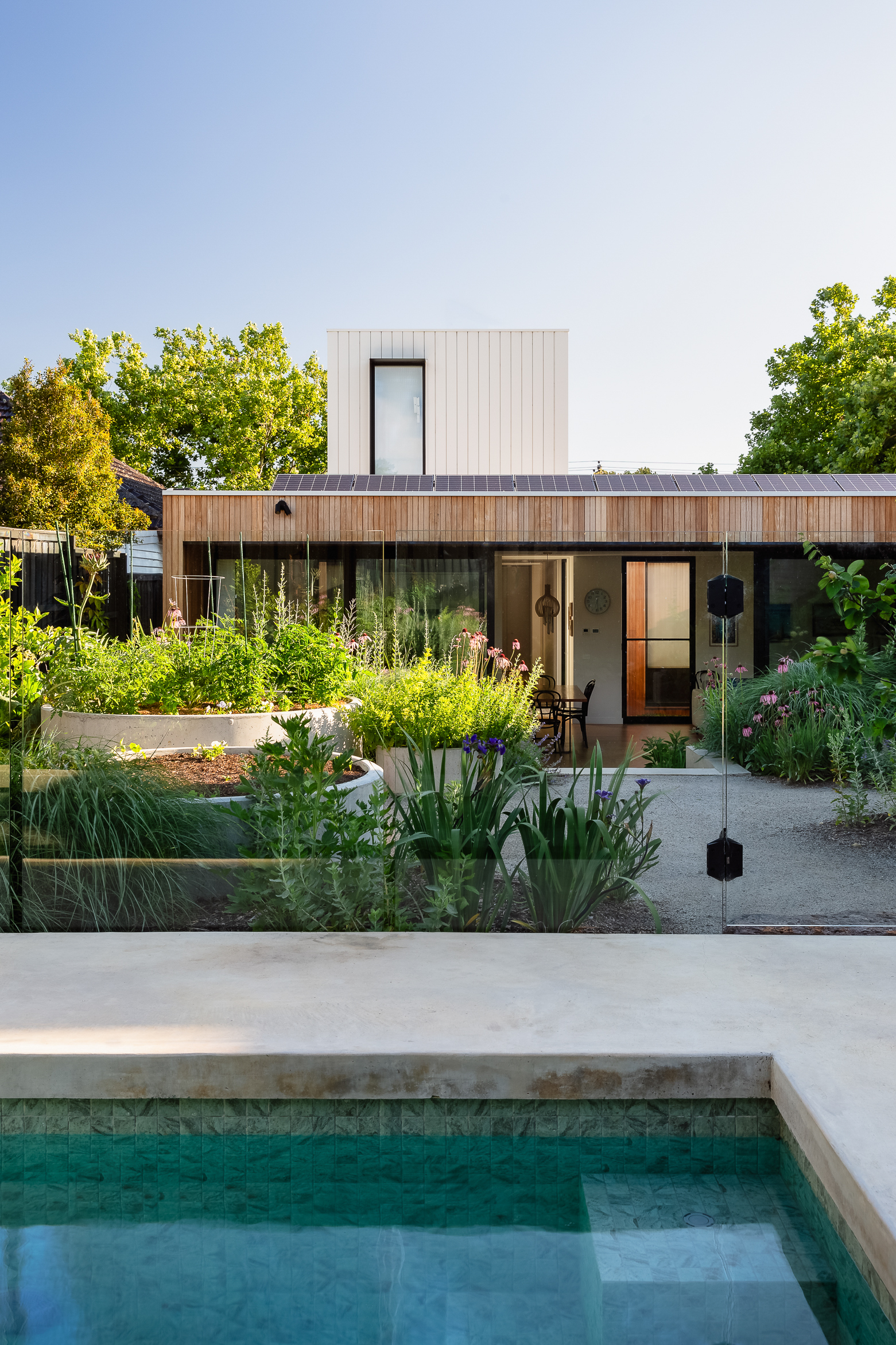Andy Murray Landscape Design - Northcote 1 garden Andy Murray Landscape Design - Northcote 1 garden