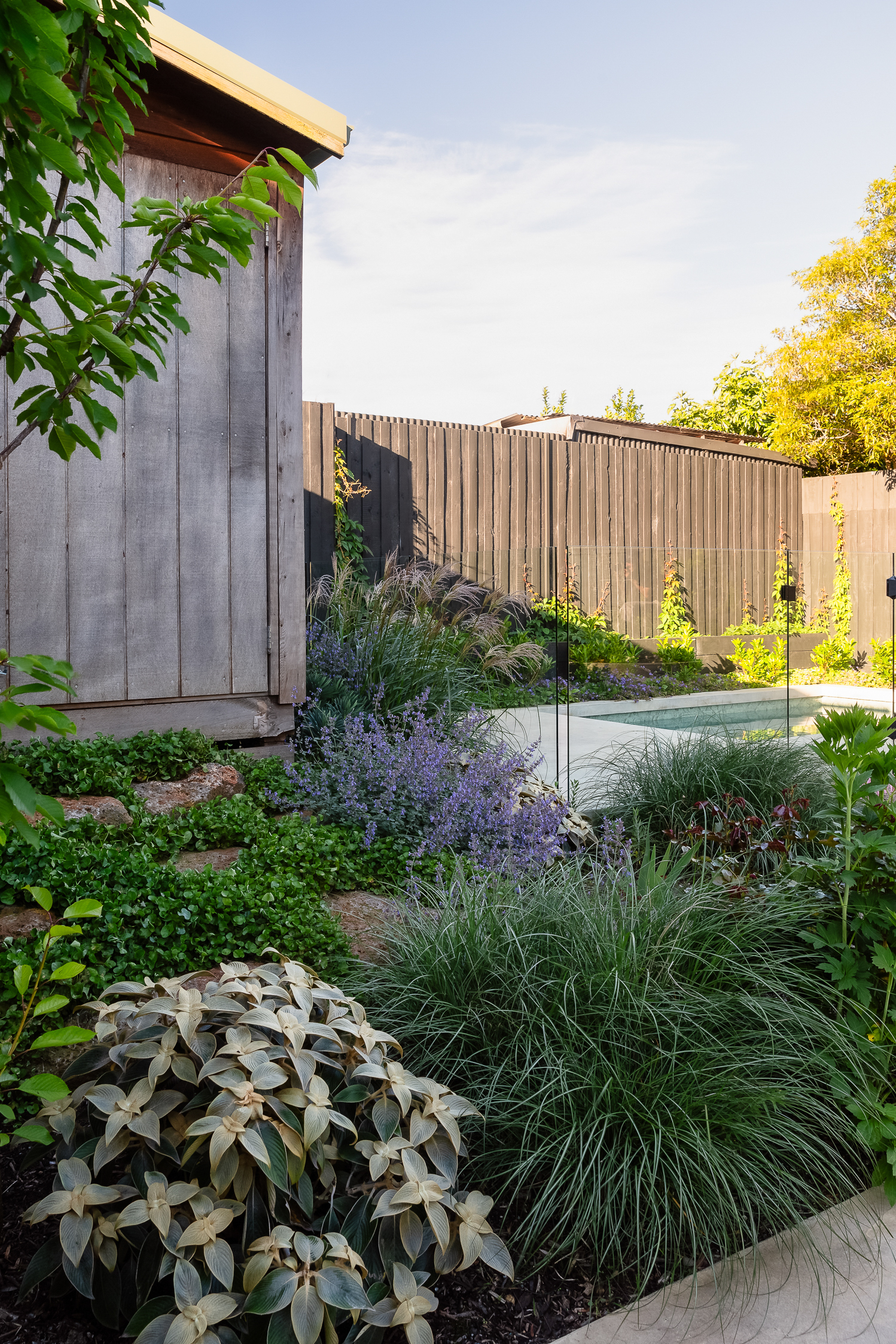 Andy Murray Landscape Design - Northcote 1 garden Andy Murray Landscape Design - Northcote 1 garden