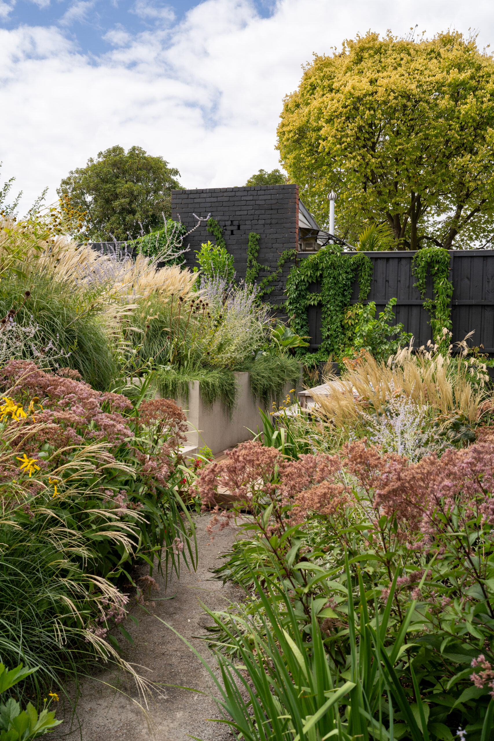 Andy Murray Landscape Design - Northcote 1 garden Andy Murray Landscape Design - Northcote 1 garden