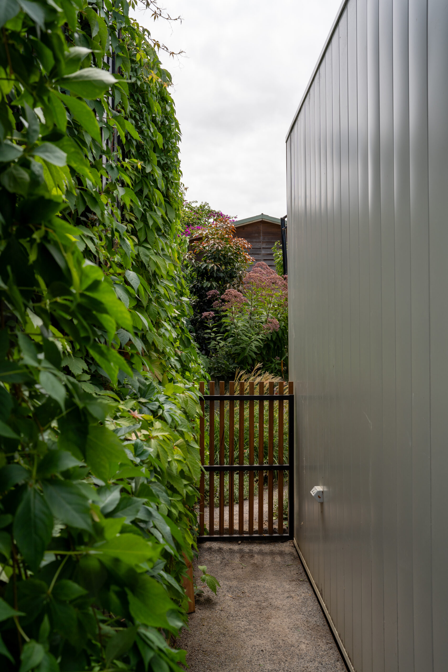 Andy Murray Landscape Design - Northcote 1 garden Andy Murray Landscape Design - Northcote 1 garden