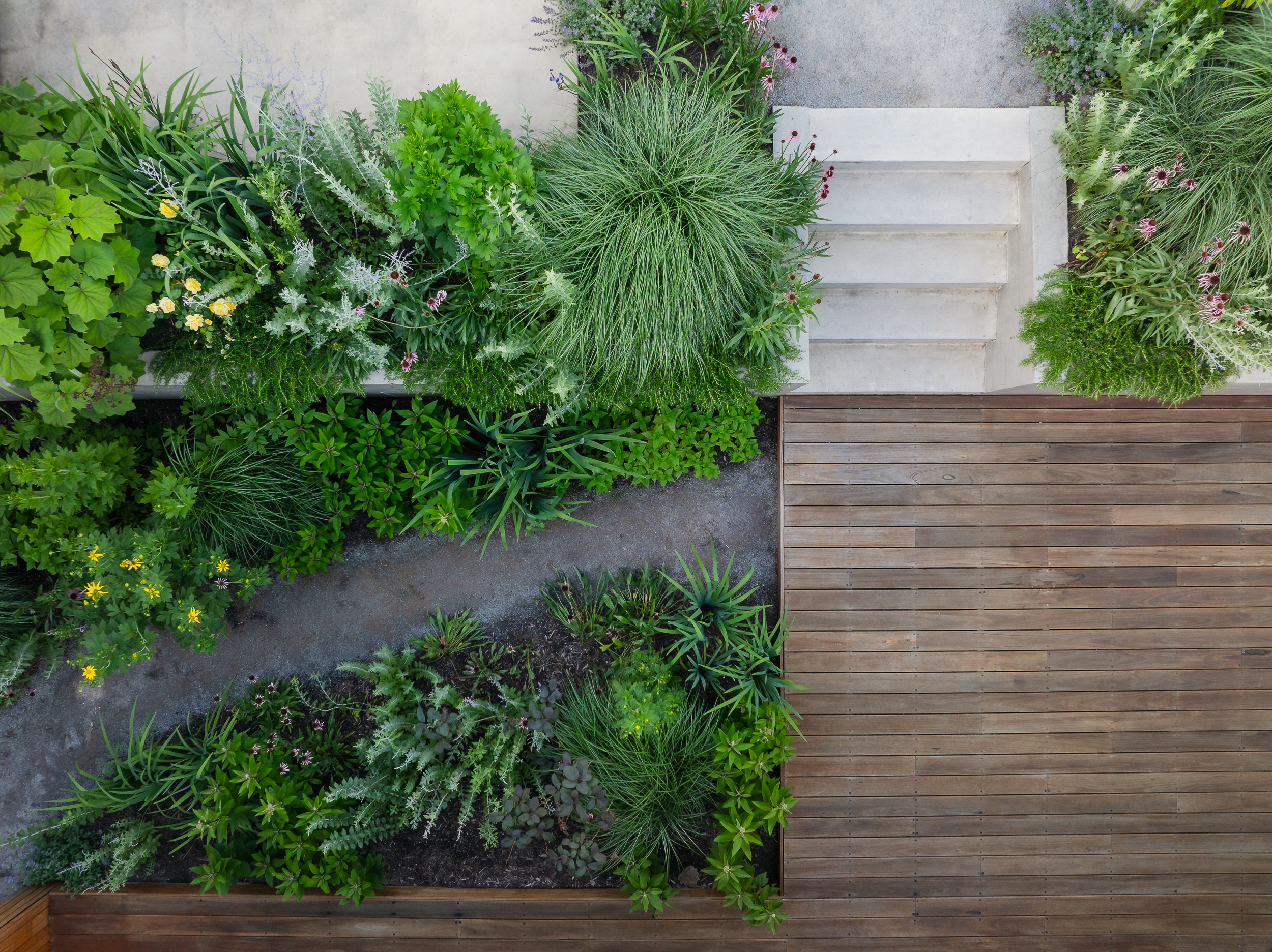 Andy Murray Landscape Design - Northcote 1 garden Andy Murray Landscape Design - Northcote 1 garden