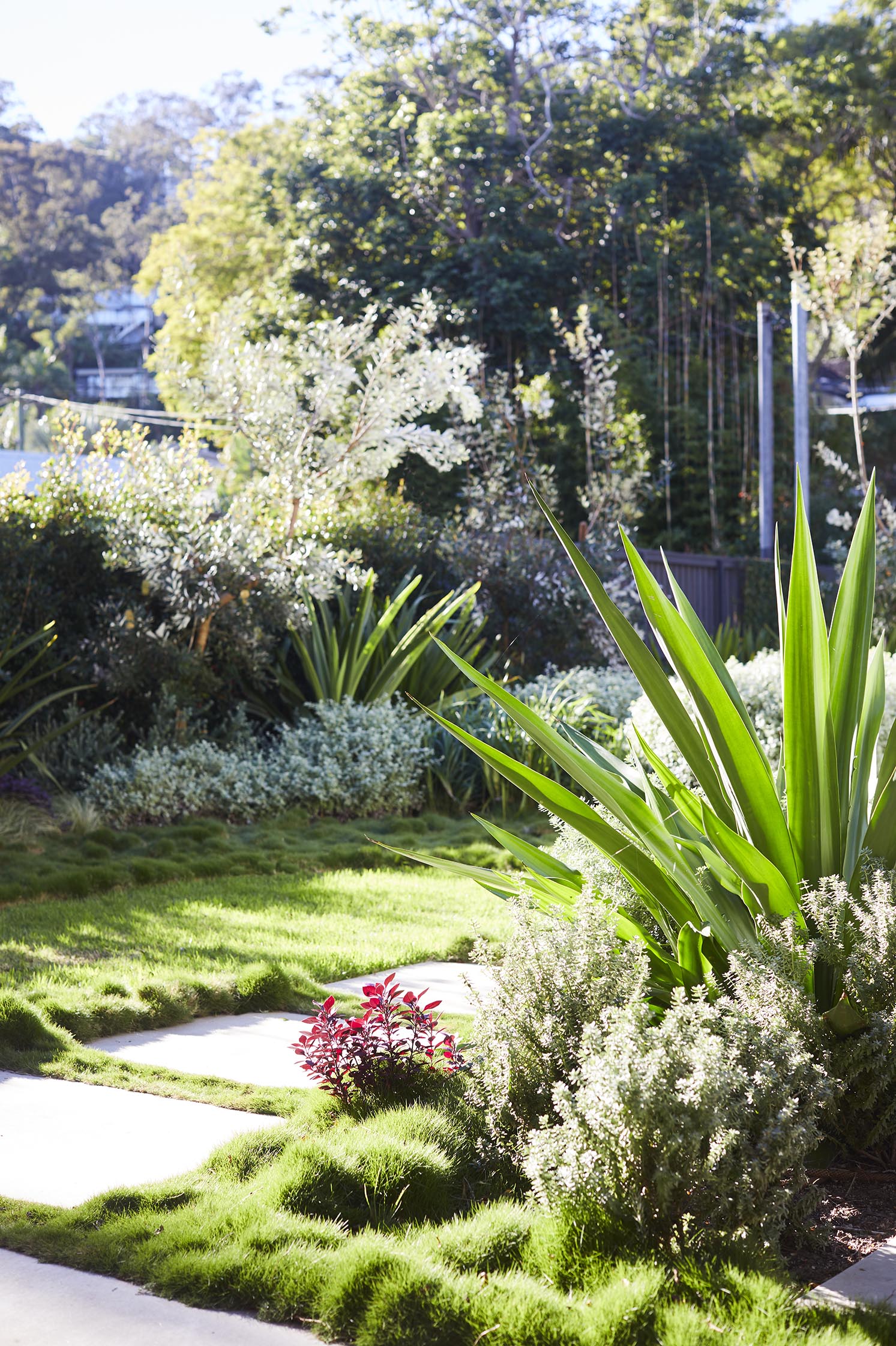 Fifth Season Landscapes - Clareville Fifth Season Landscapes - Clareville
