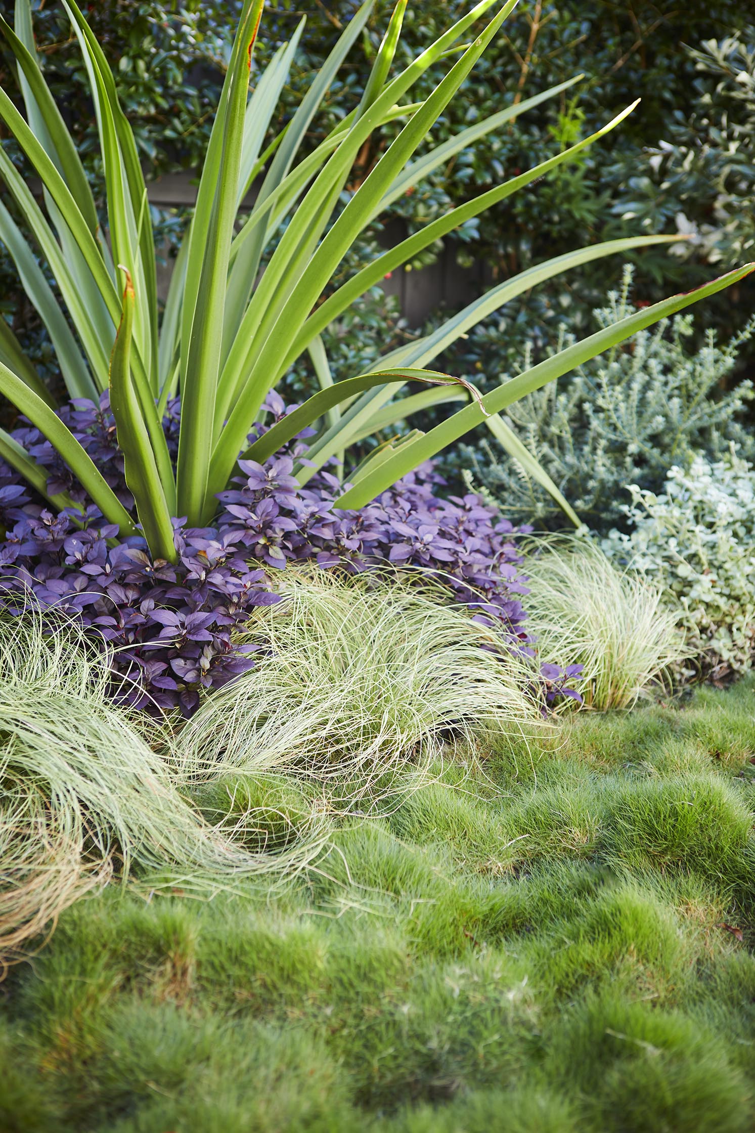 Fifth Season Landscapes - Clareville Fifth Season Landscapes - Clareville