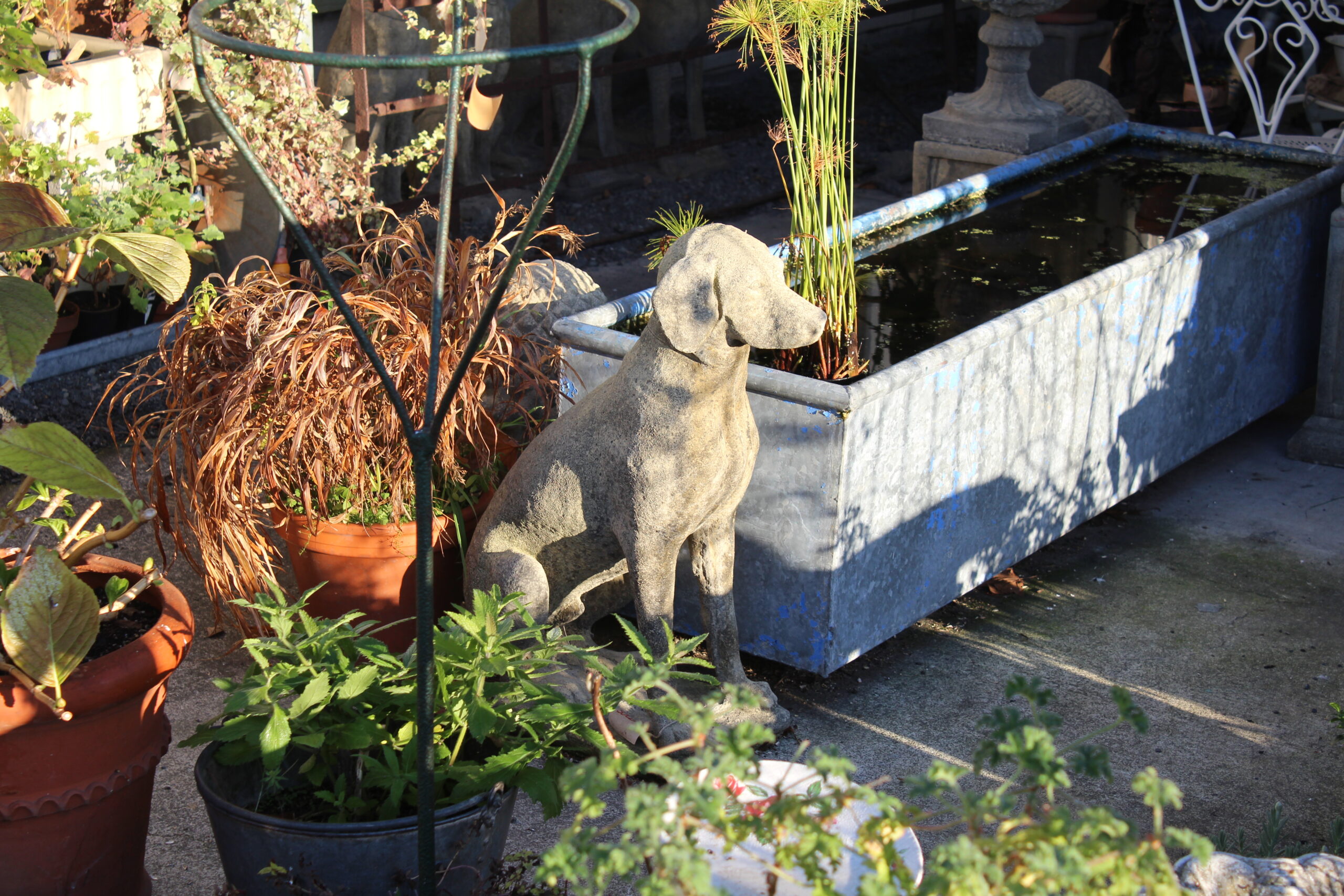 Gardenalia