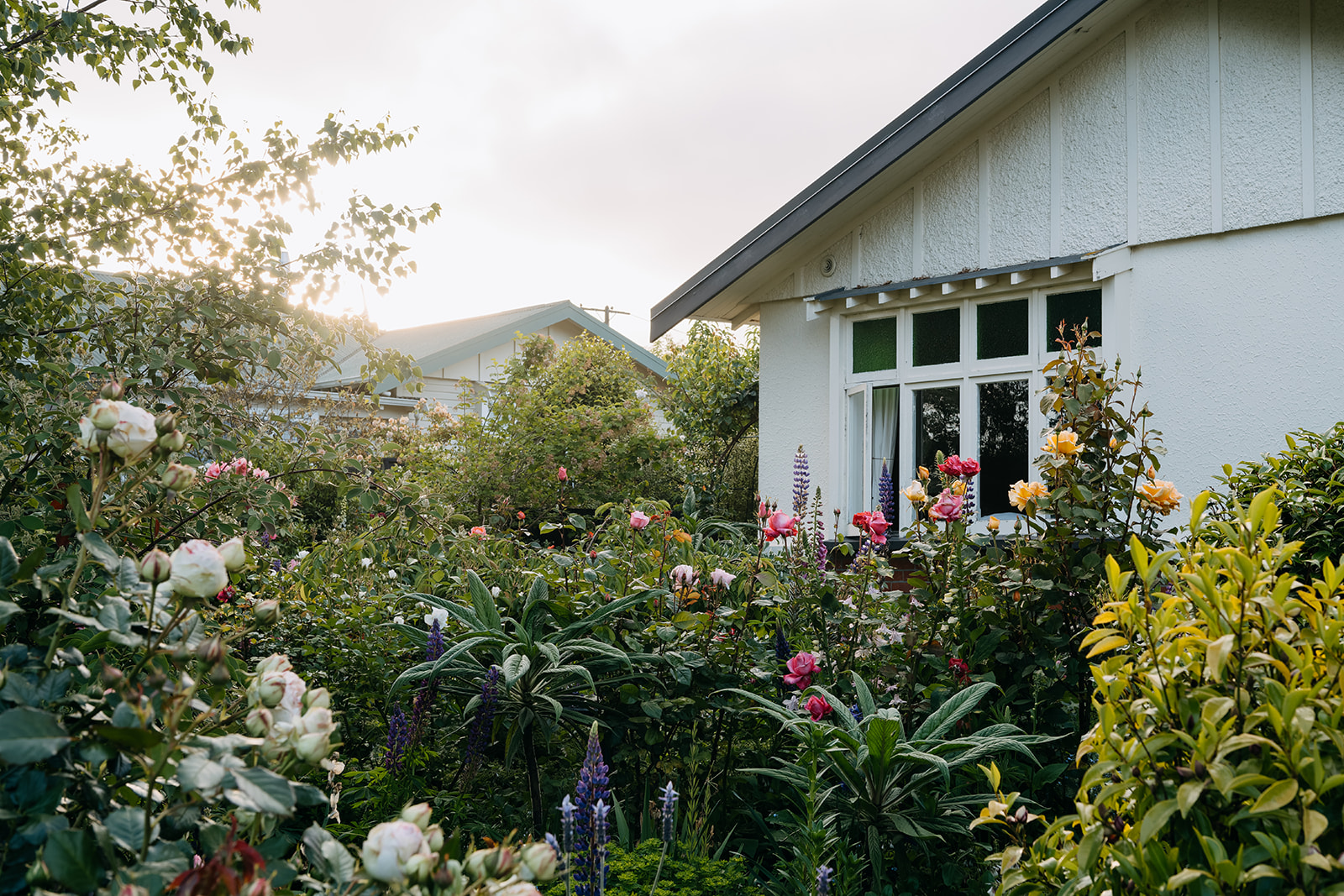 Sage Journal - Waimate