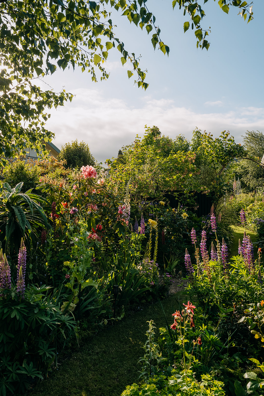 Sage Journal - Waimate