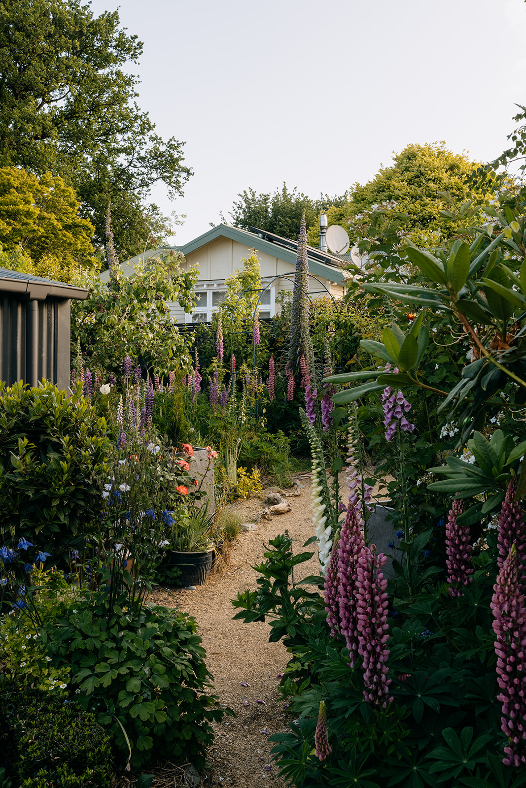 Sage Journal - Waimate