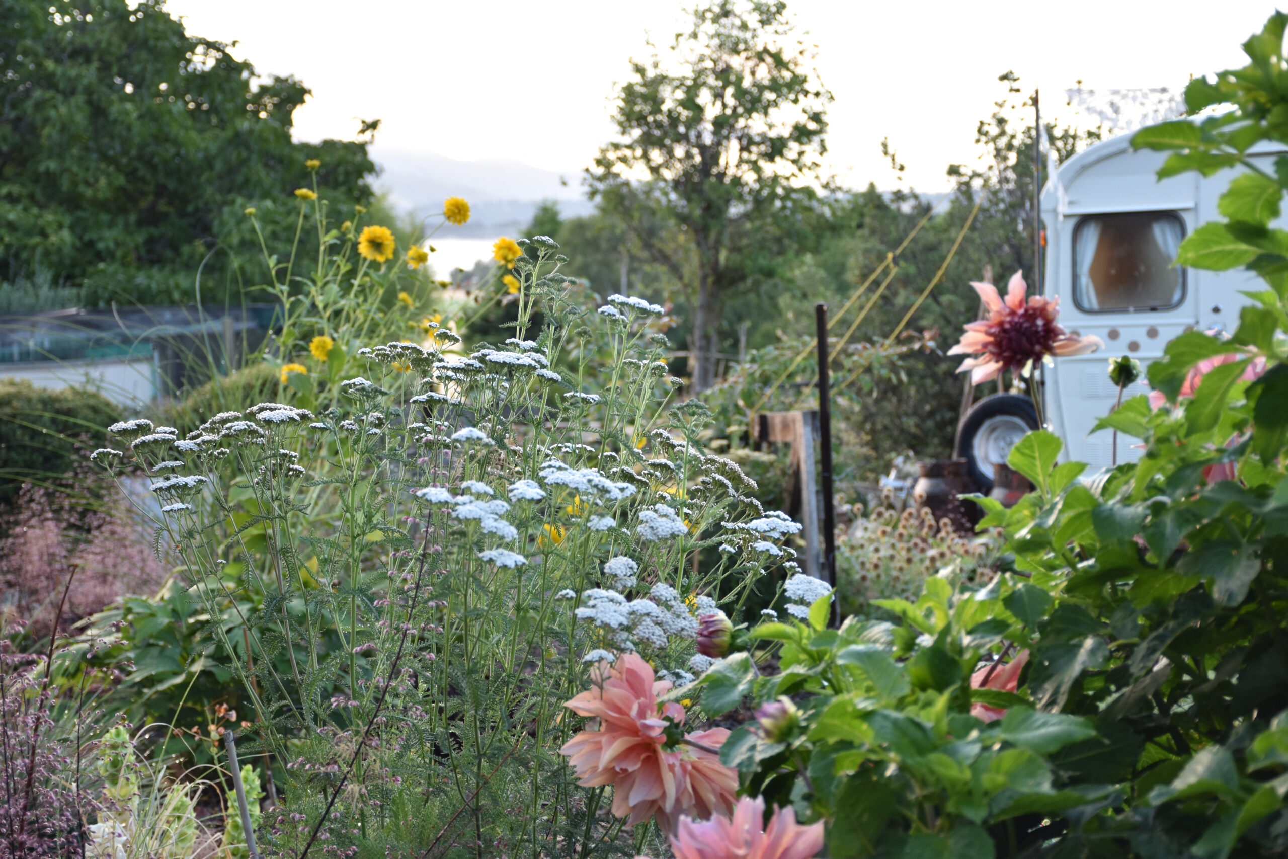 Secret Gardens NZ