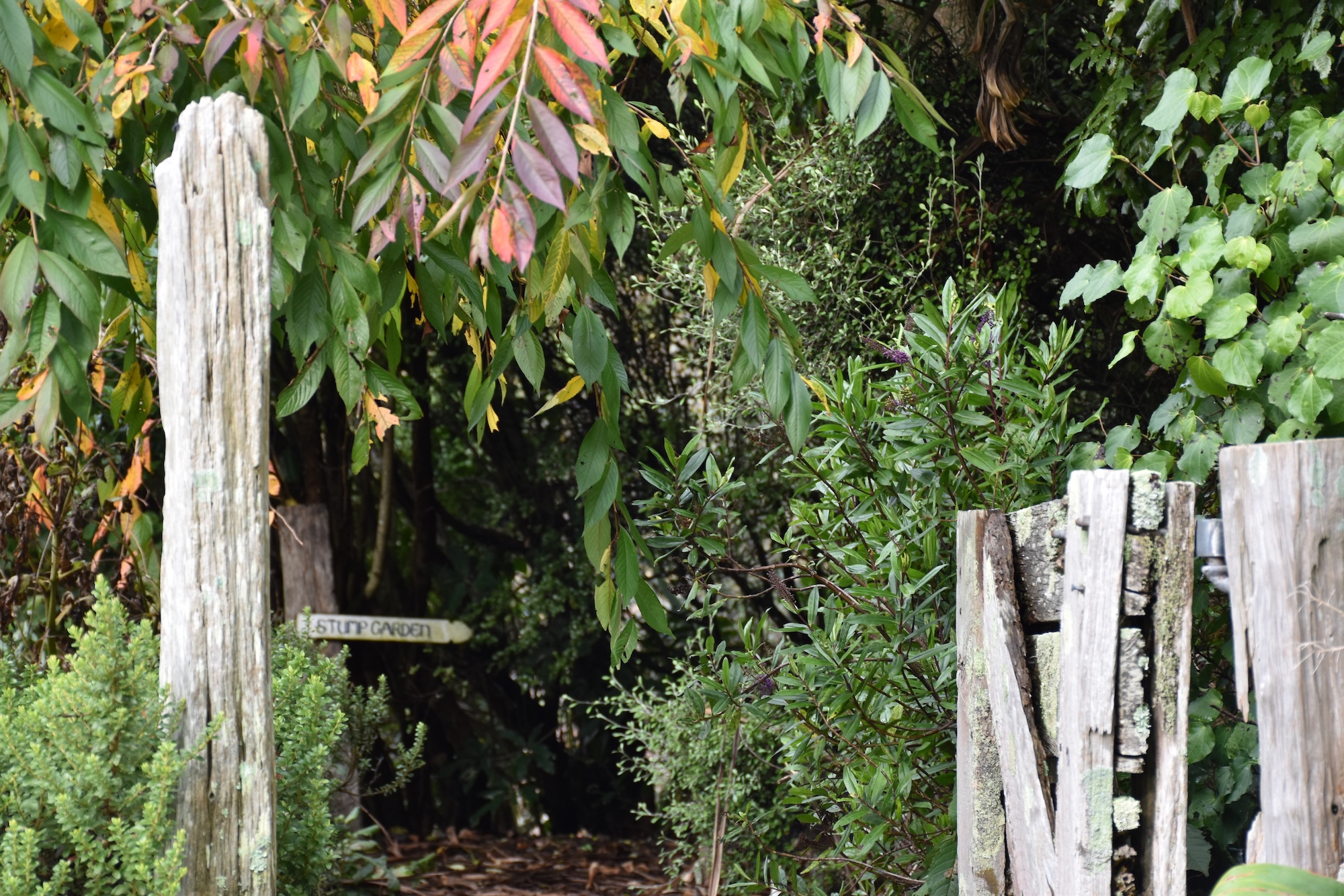 Secret Gardens NZ - Fantail and Flax Secret Gardens NZ - Fantail and Flax