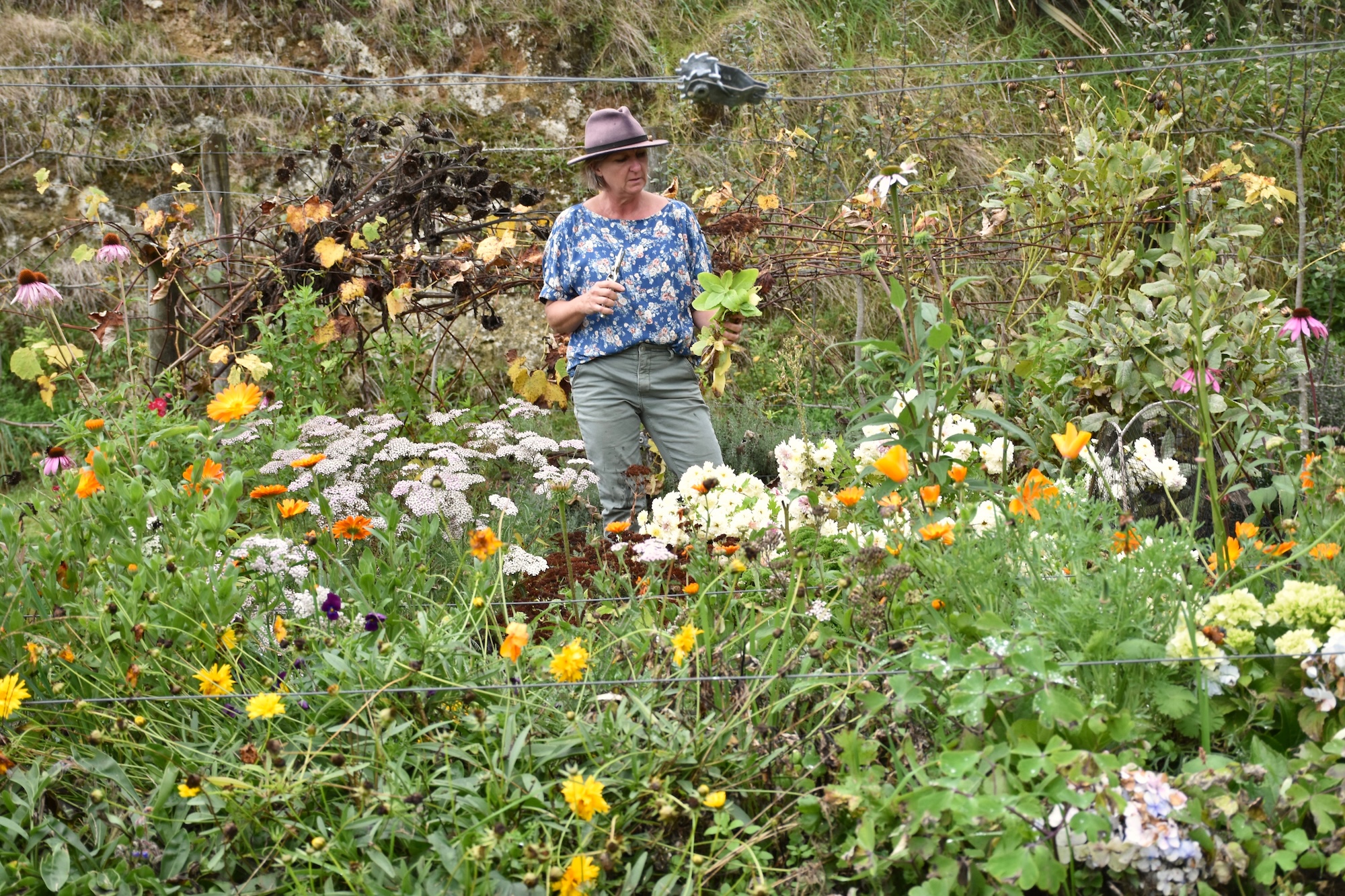 Secret Gardens NZ - Fantail and Flax