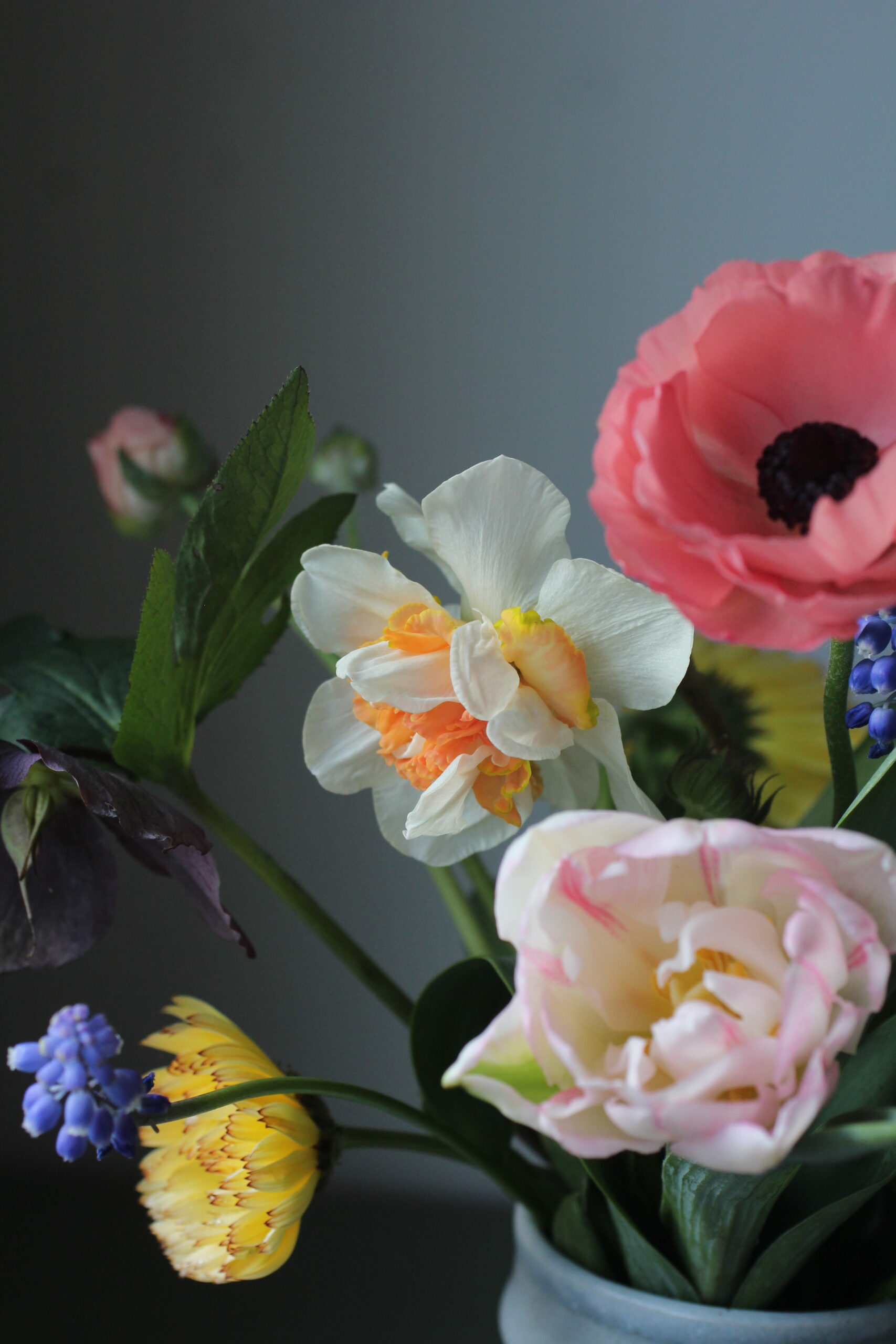 Autumn Gardening Series/Spring bulbs - Posy of Spring Bulb Flowers Posy of Spring Bulb Flowers