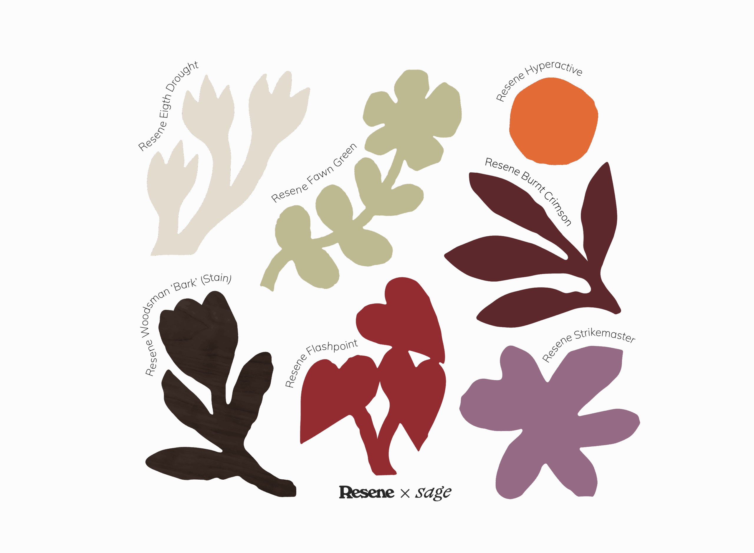 Curated colour palette inspired by colours found in the garden