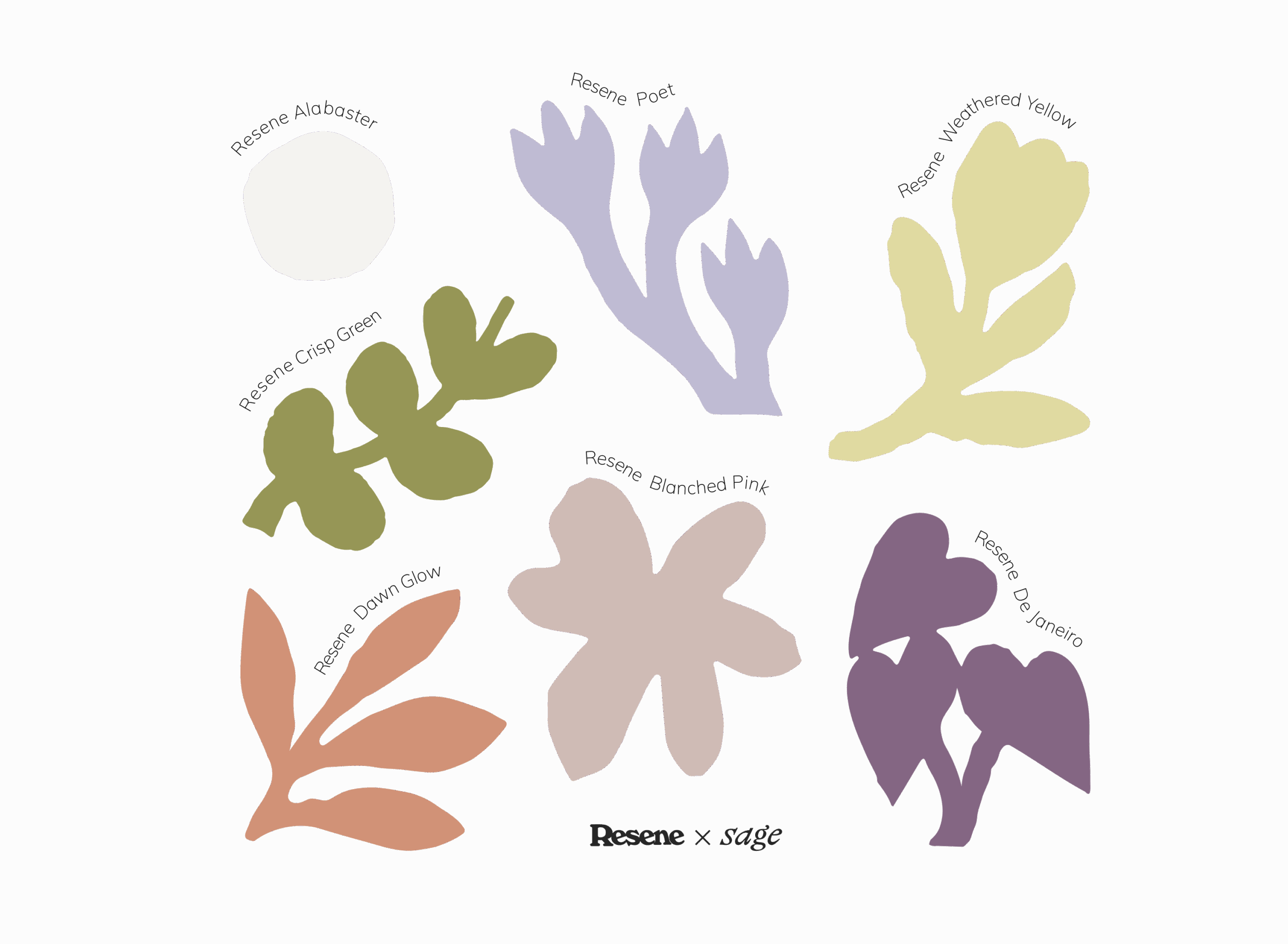 Curated colour palette drawn from inspiration from the garden