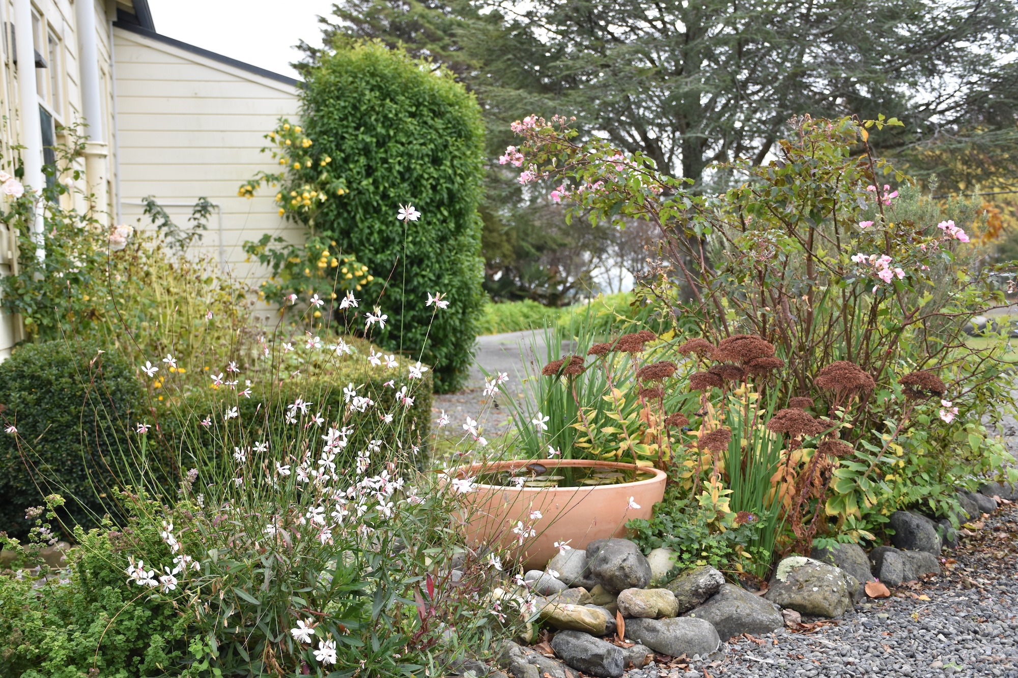 Waihora - Secret Gardens NZ Waihora - Secret Gardens NZ