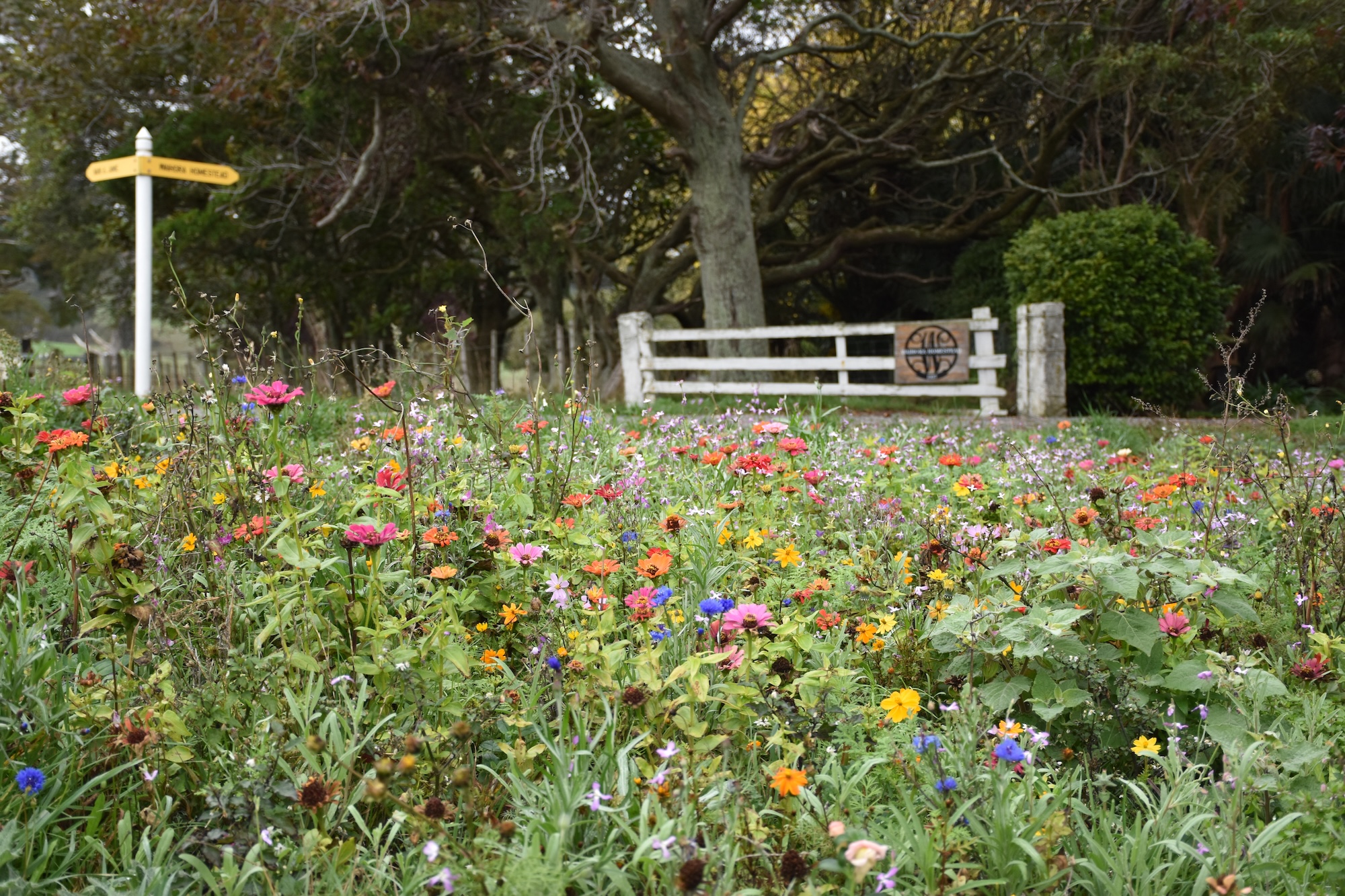 Waihora - Secret Gardens NZ Waihora - Secret Gardens NZ