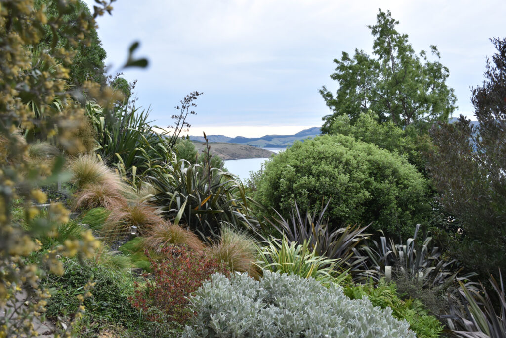 Kaikōmako - Secret Gardens