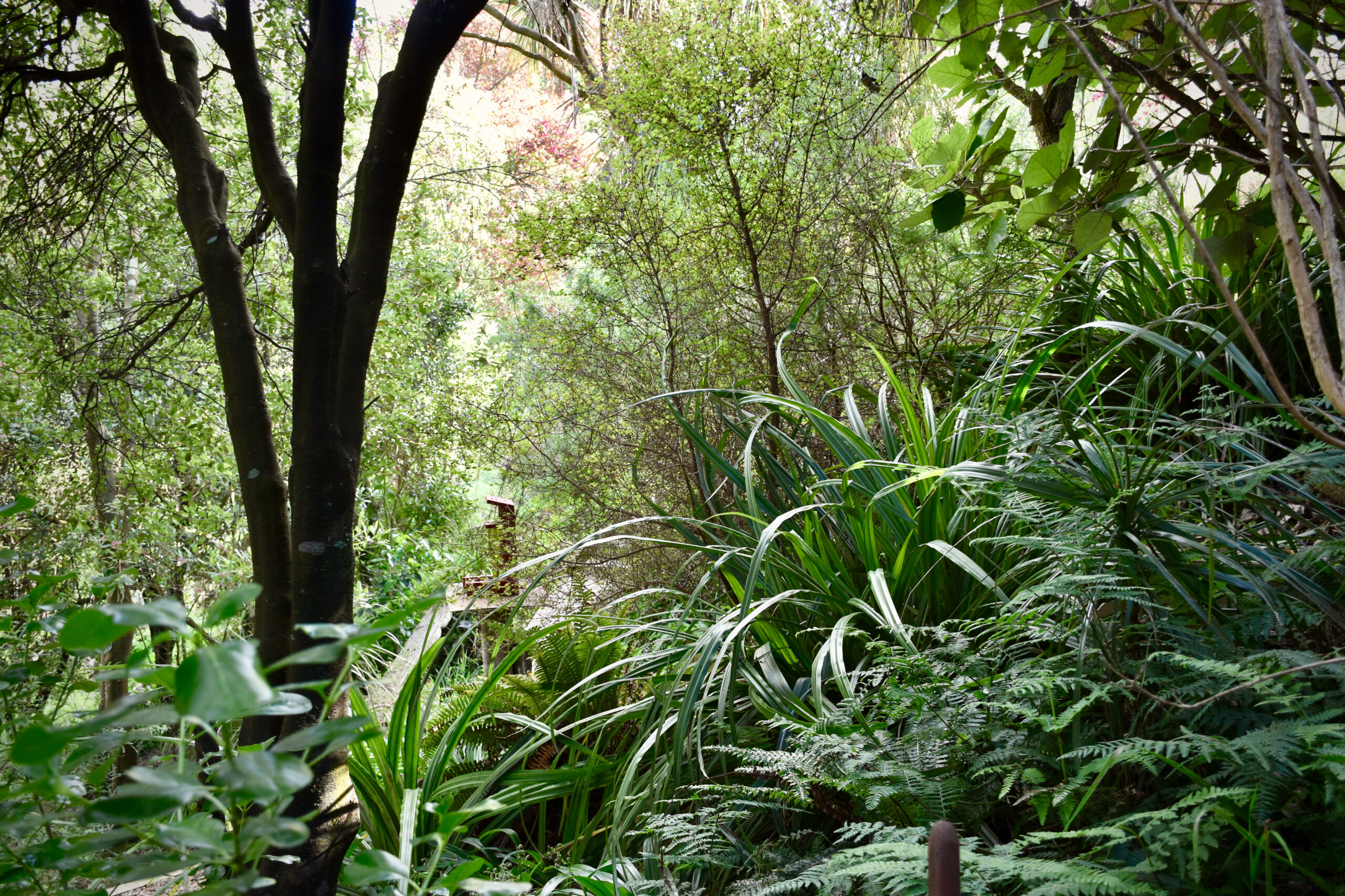 Kaikōmako - Secret Gardens Kaikōmako - Secret Gardens