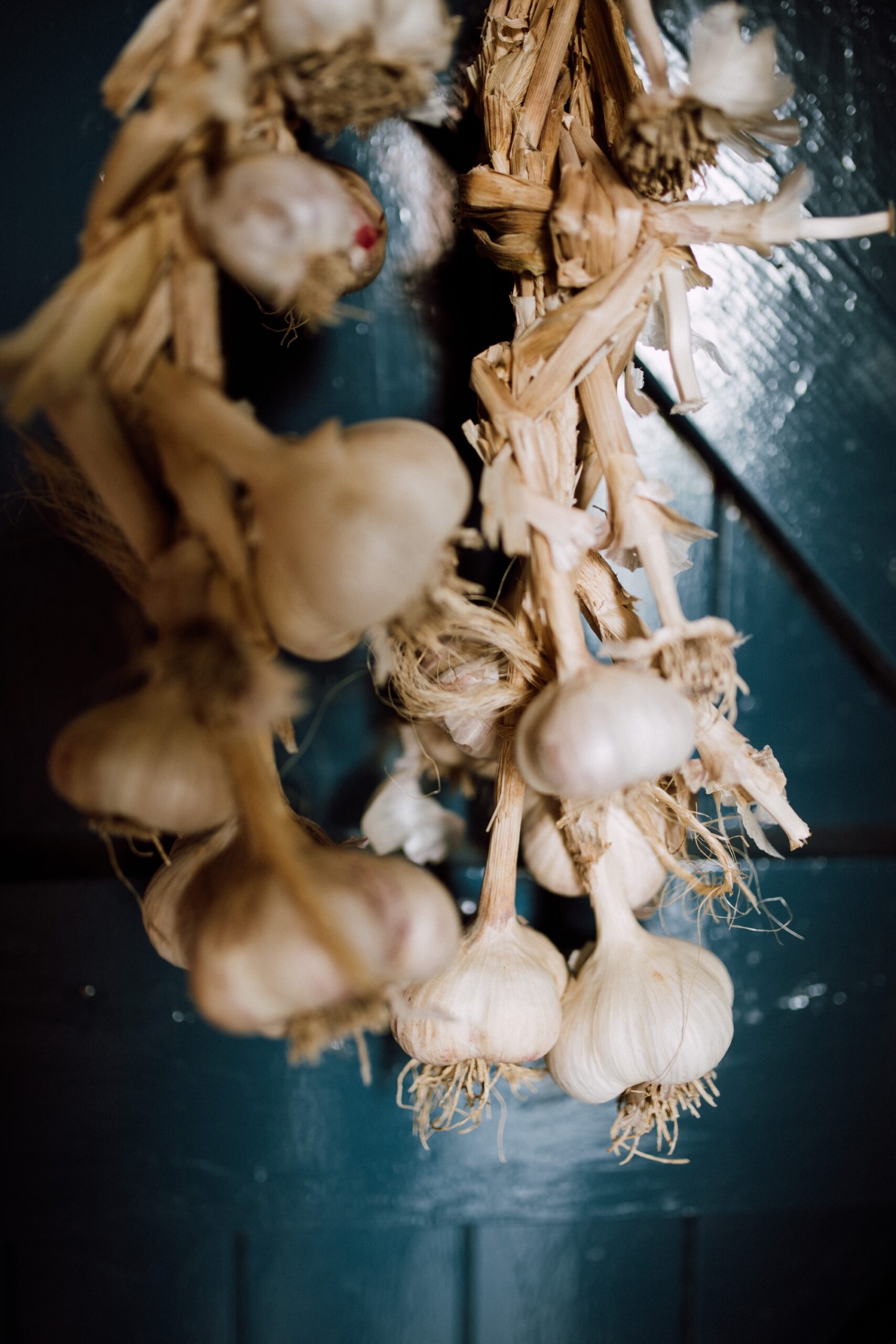 Gillian Swinton ‘The Good life’ - Growing Garlic Gillian Swinton ‘The Good life’ - Growing Garlic
