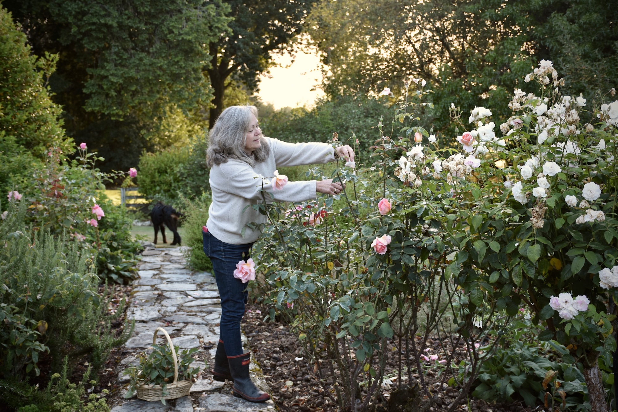Secret Gardens - Crosshill Garden