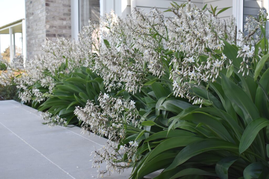 Inside Out Garden Design