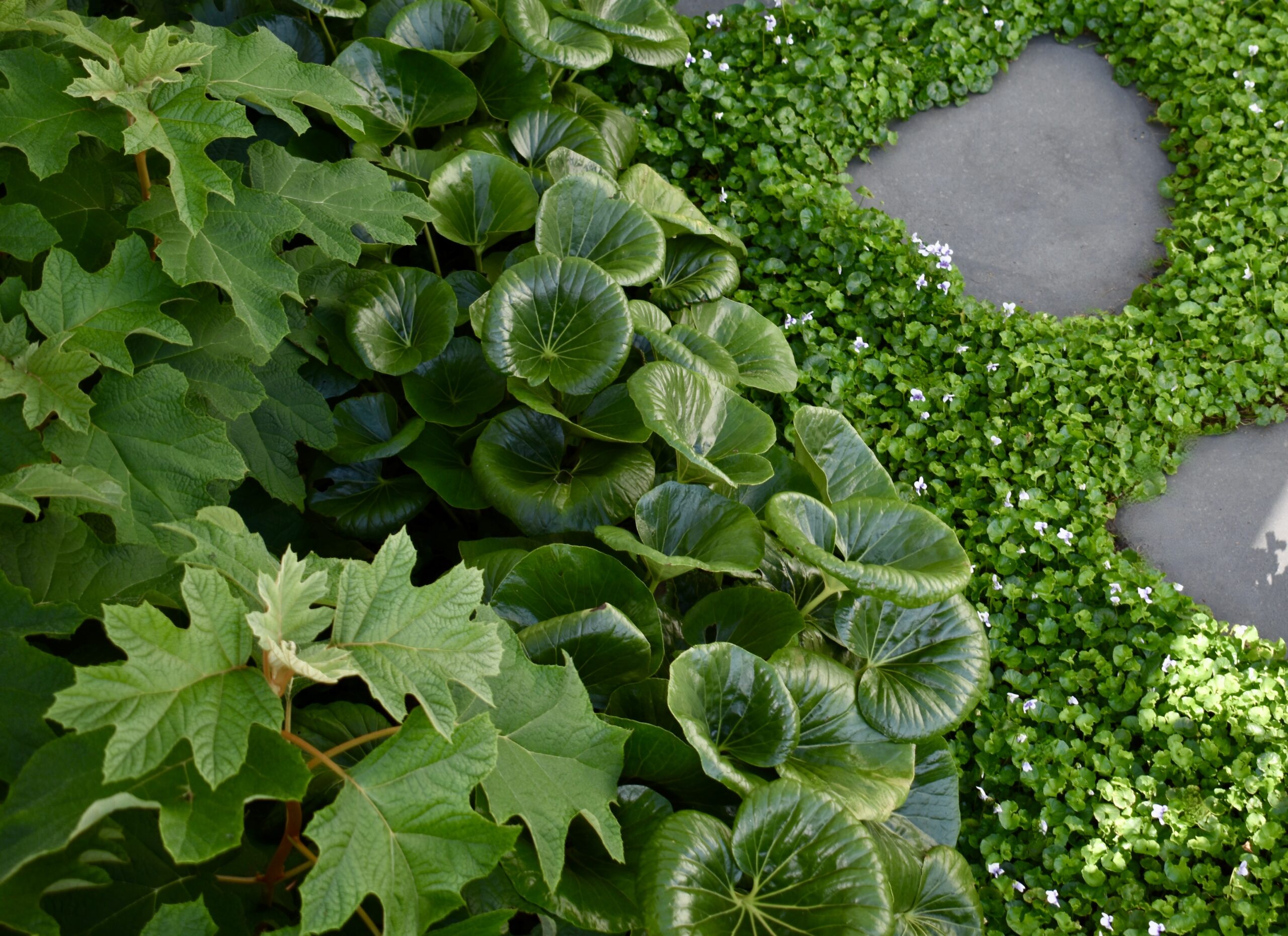 Inside Out Garden Design - Rural garden Inside Out Garden Design