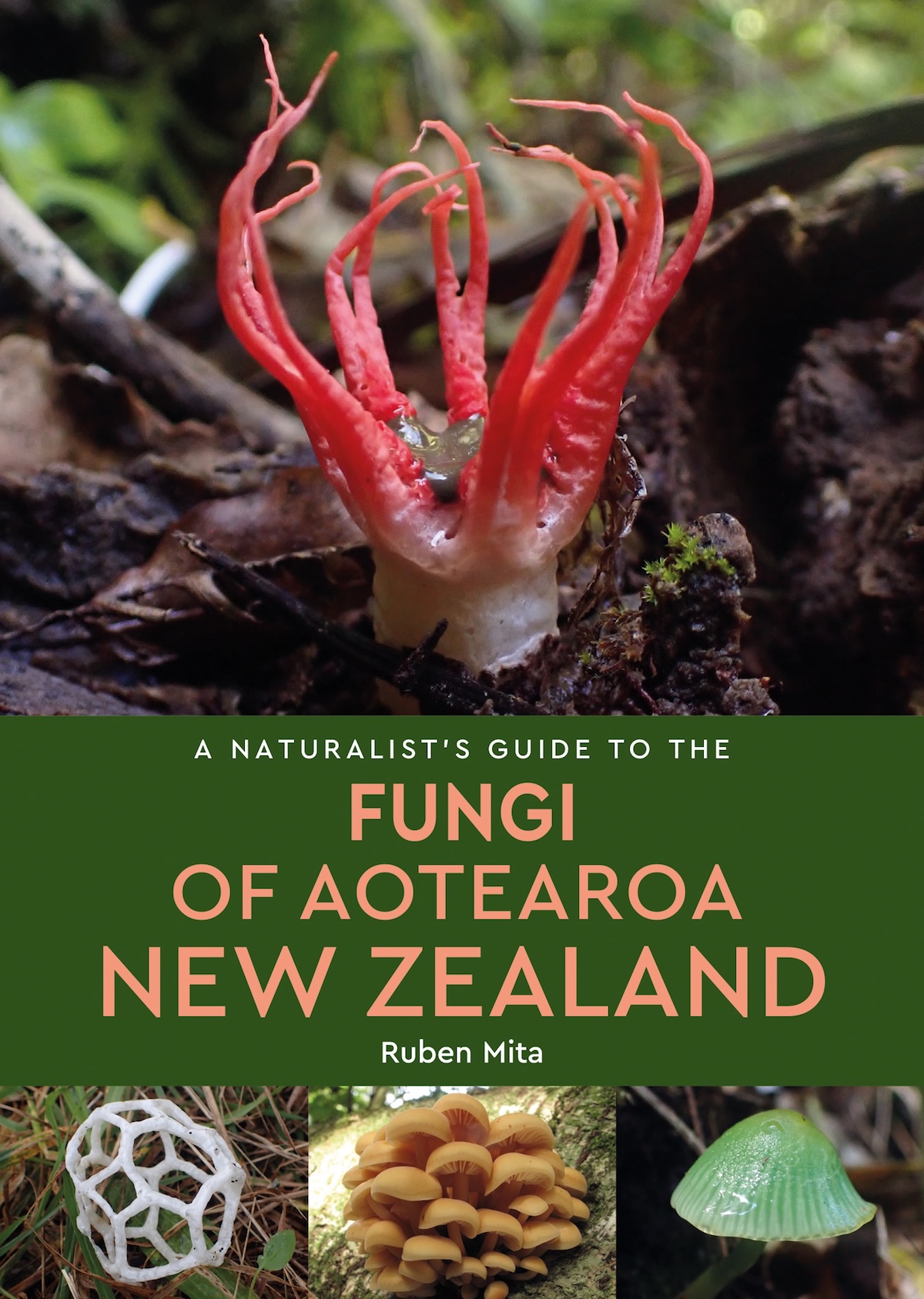 Fungi of Aotearoa NZ Fungi of Aotearoa NZ