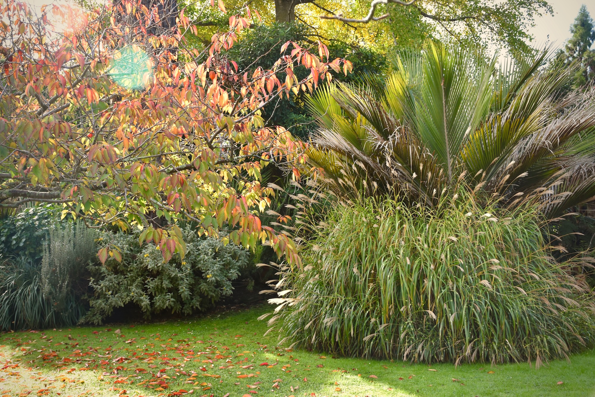 Secret Gardens NZ - Texture Garden Secret Gardens NZ - Texture Garden
