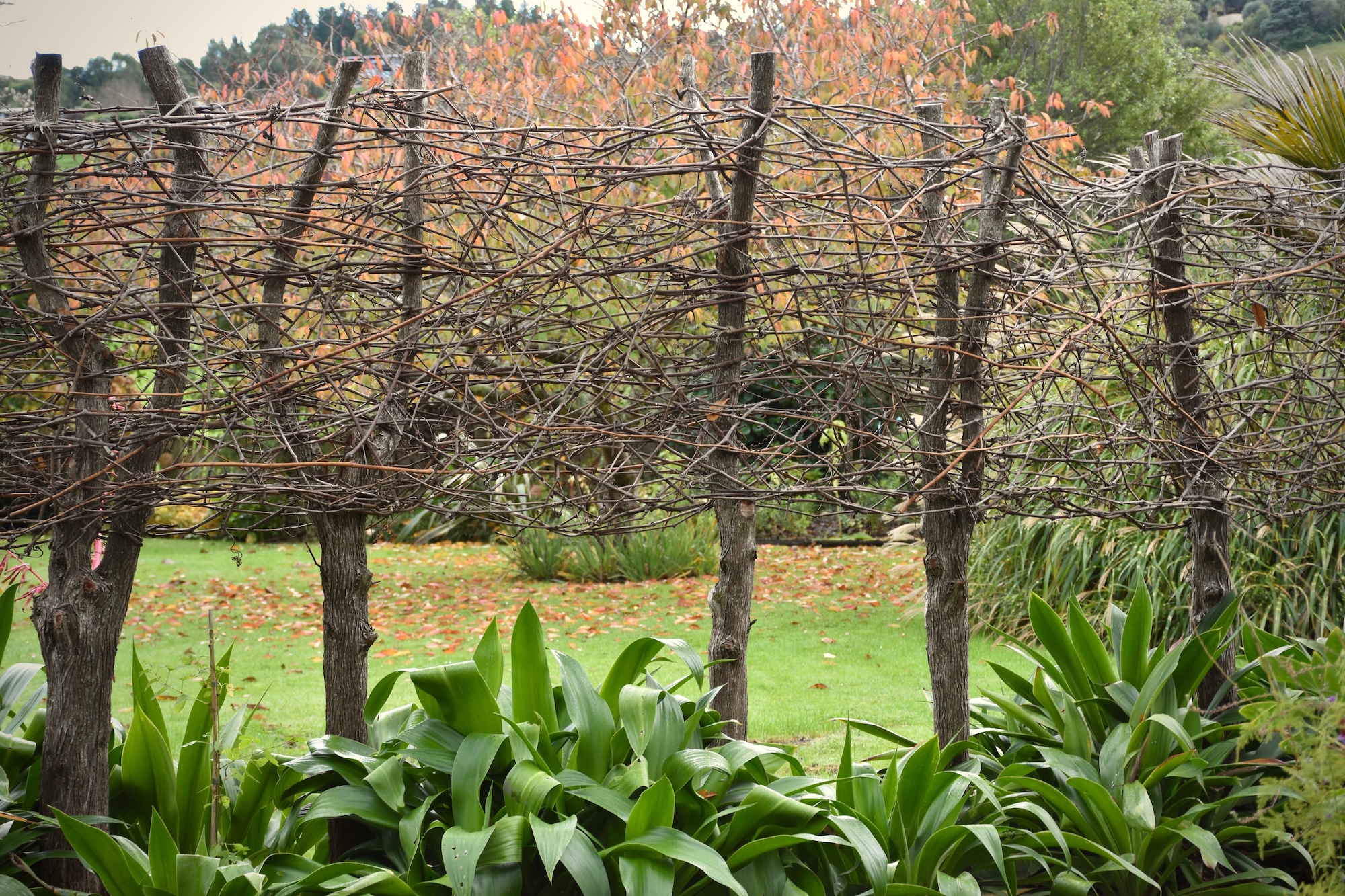 Secret Gardens NZ - Texture Garden Secret Gardens NZ - Texture Garden