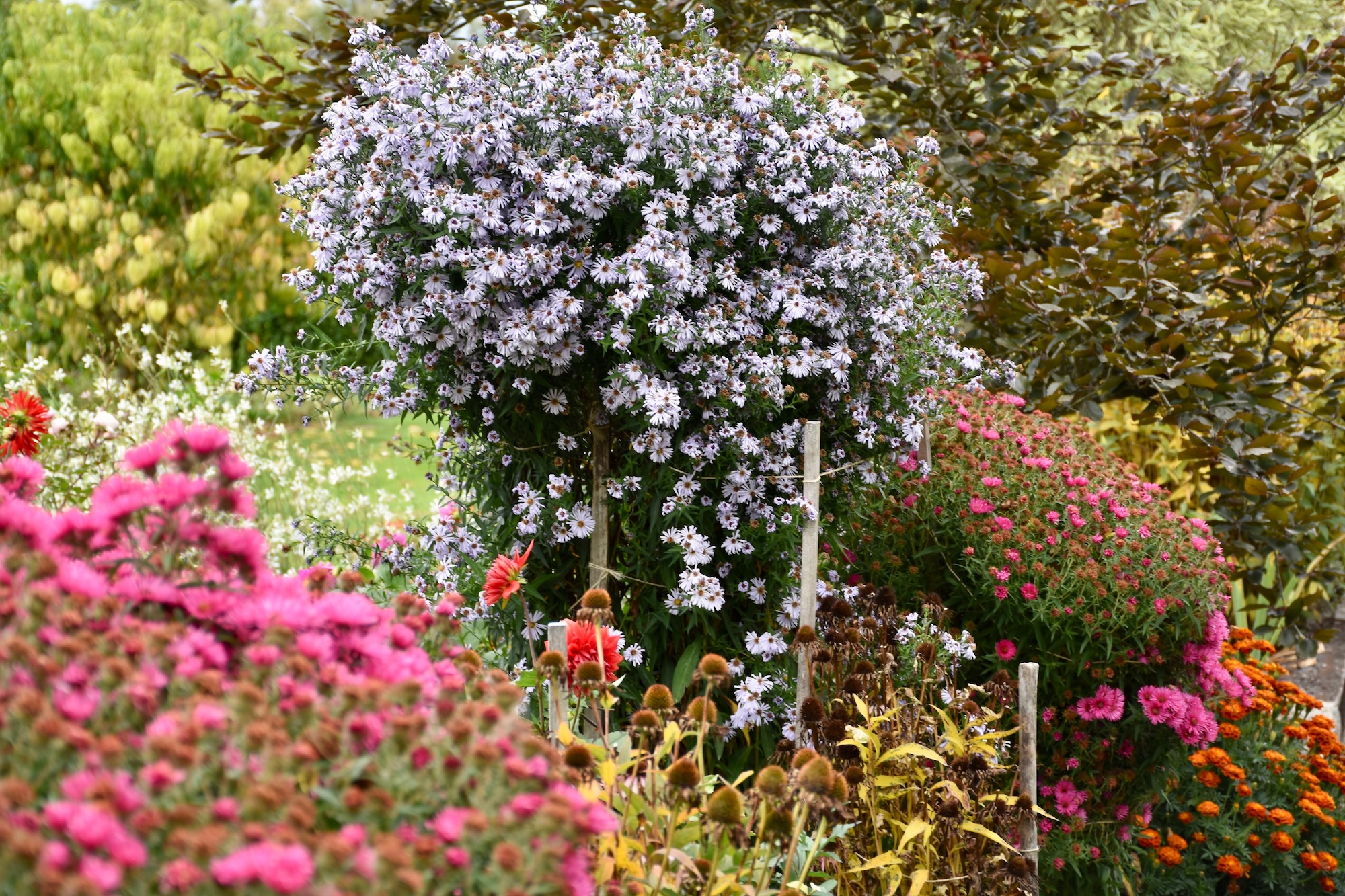 Secret Gardens NZ - Willoughbridge Secret Gardens NZ - Willoughbridge
