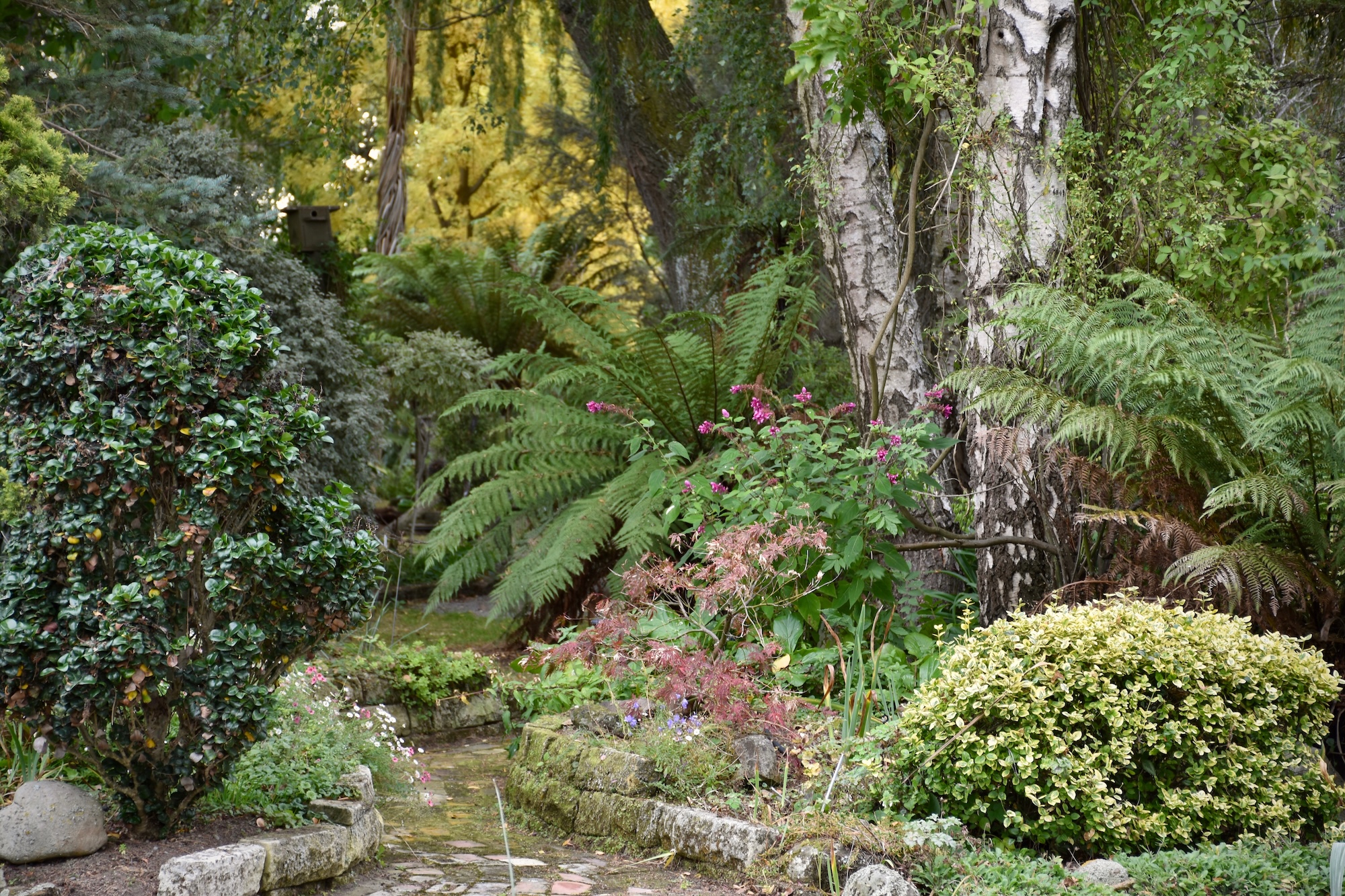 Secret Gardens NZ - Willoughbridge Secret Gardens NZ - Willoughbridge